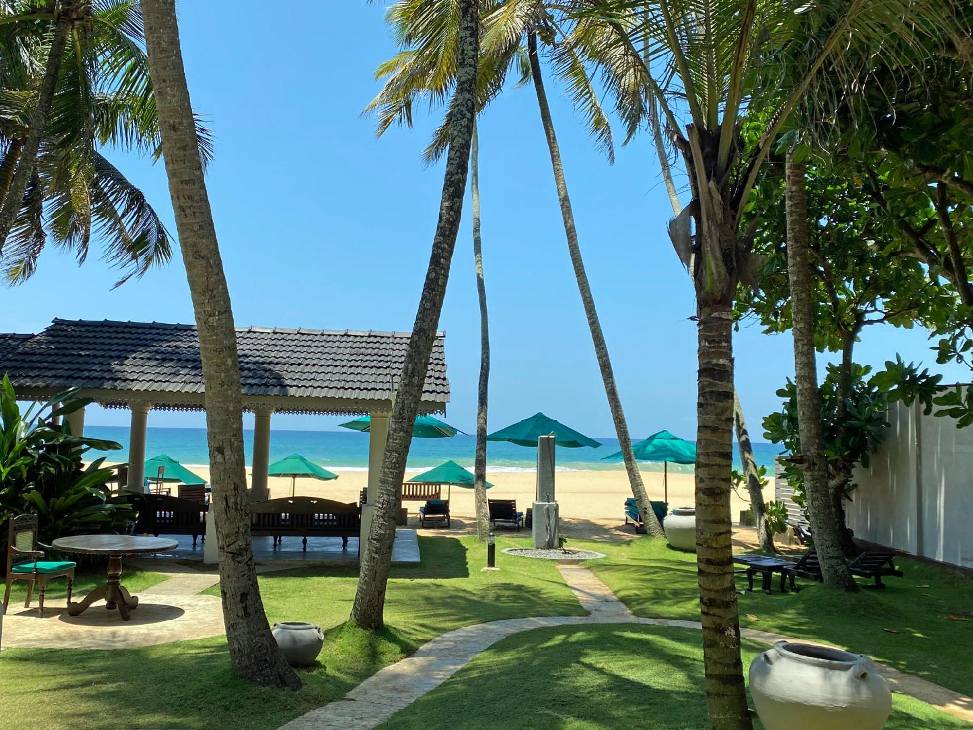 One-Bedroom Suite,1538488393:JPEG