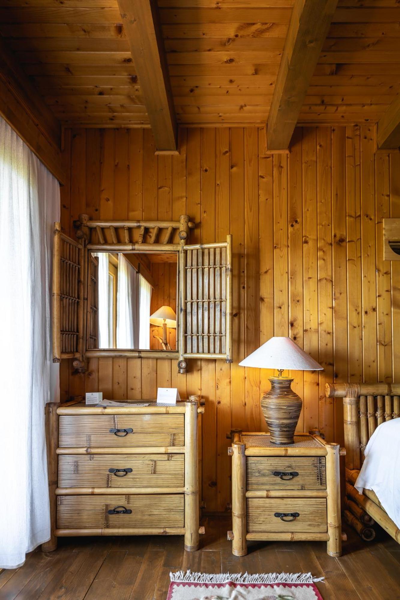 Standard Double or Twin Room zona Lebada & Pelicanul