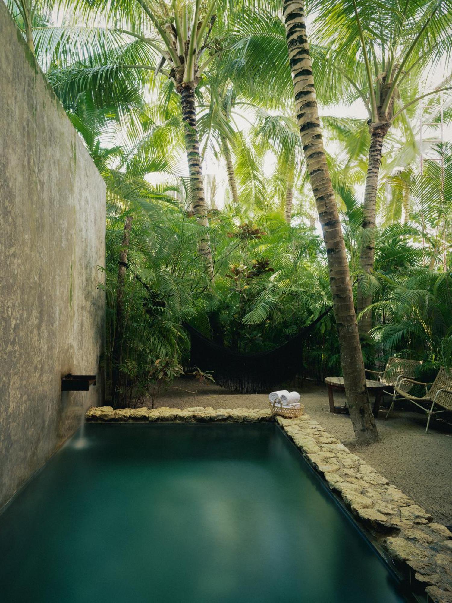 Signature Suite Plunge Pool