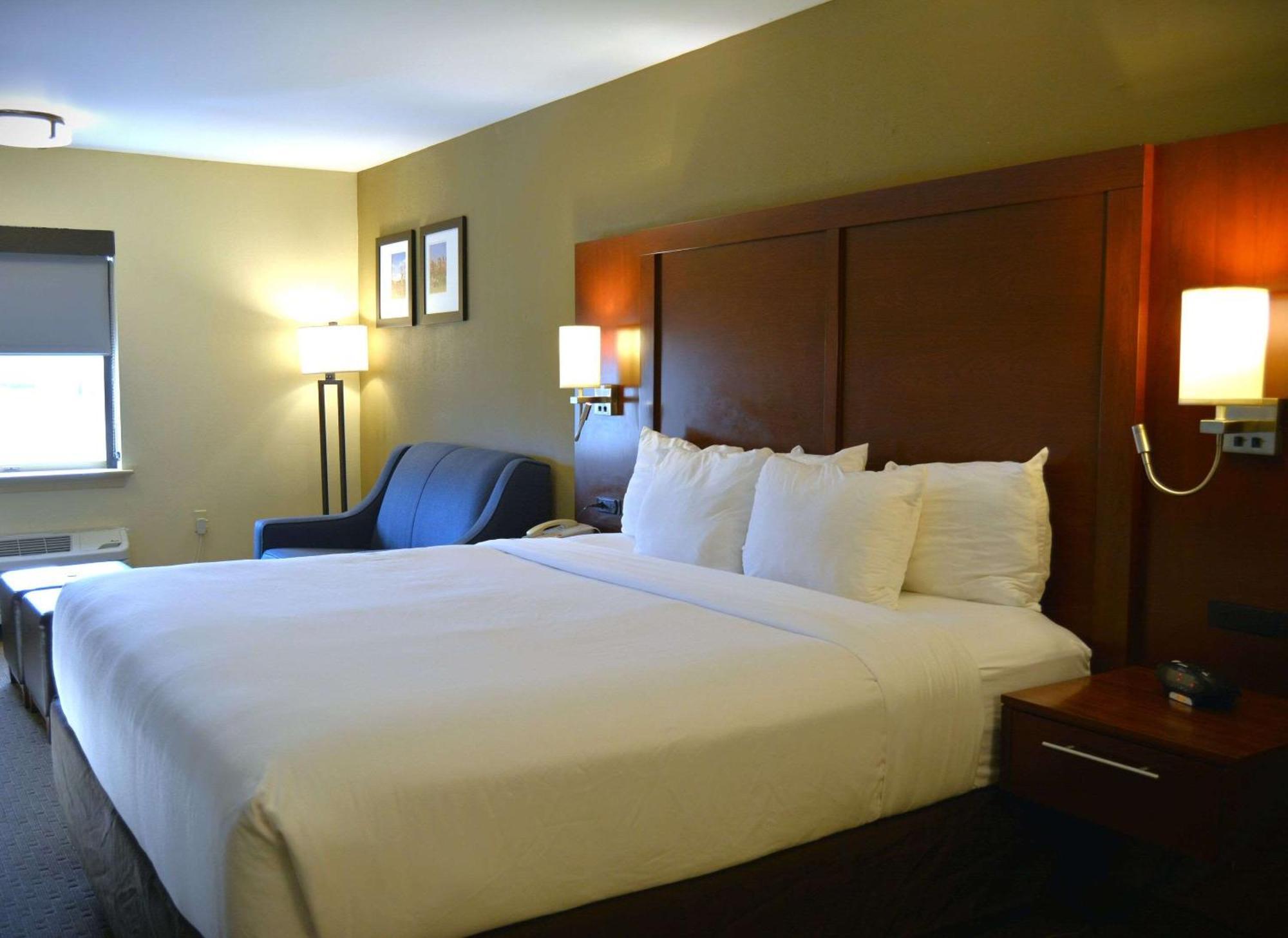 Standard King Room Sofa Bed Non-Smoking