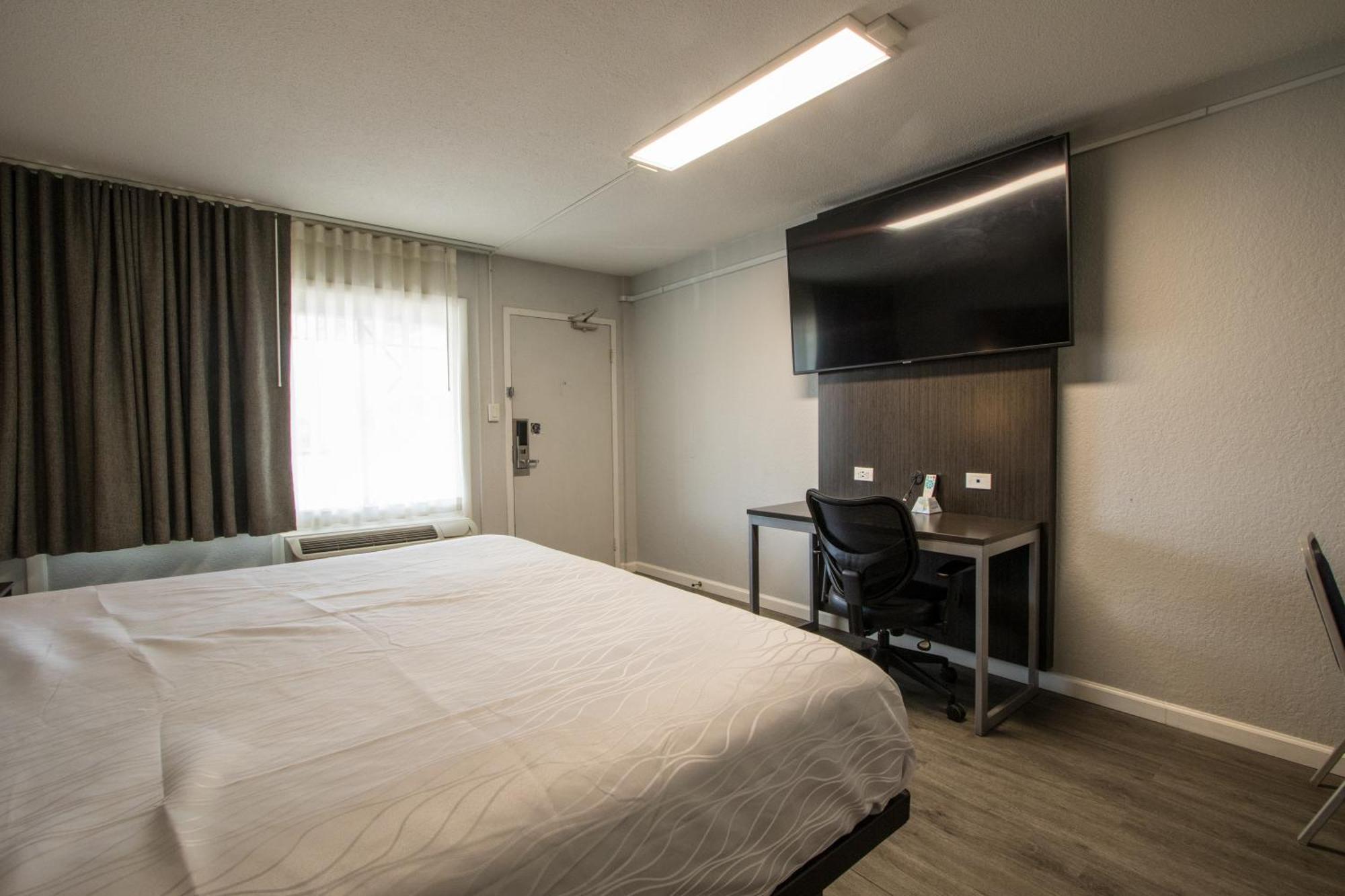 Eco Delight: King Bed, Non-Smoking,1542915475:JPEG