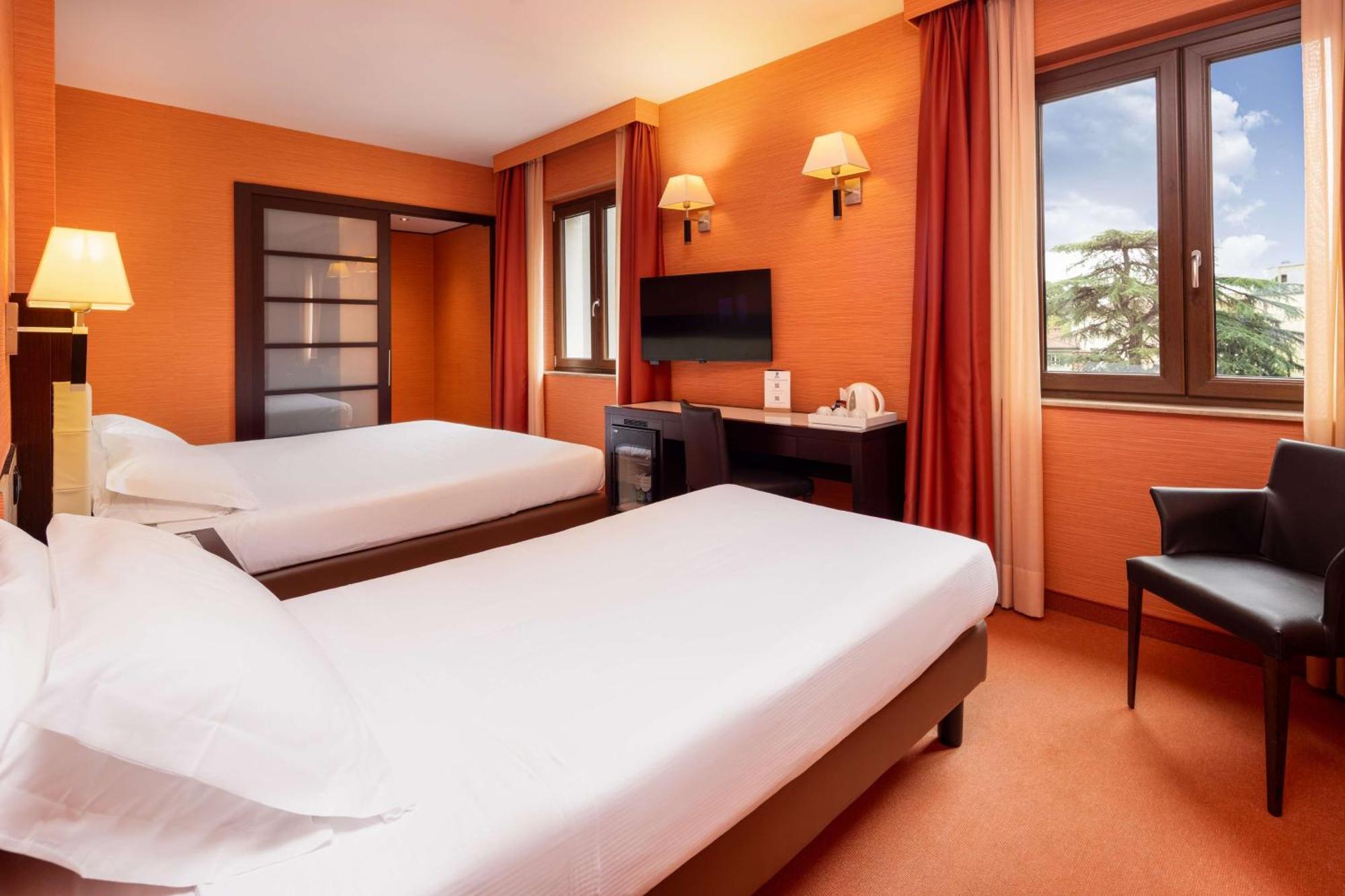 Standard King Room Single Bed