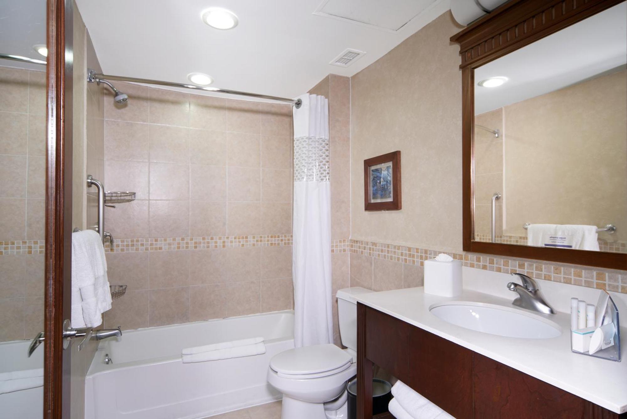 Non-Smoking Queen Suite with Sofa Bed