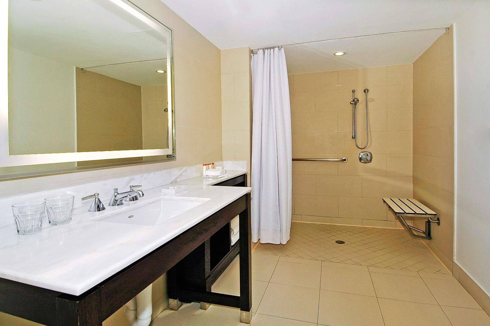 King Room Mobility or Hearing Accessible Roll Shower