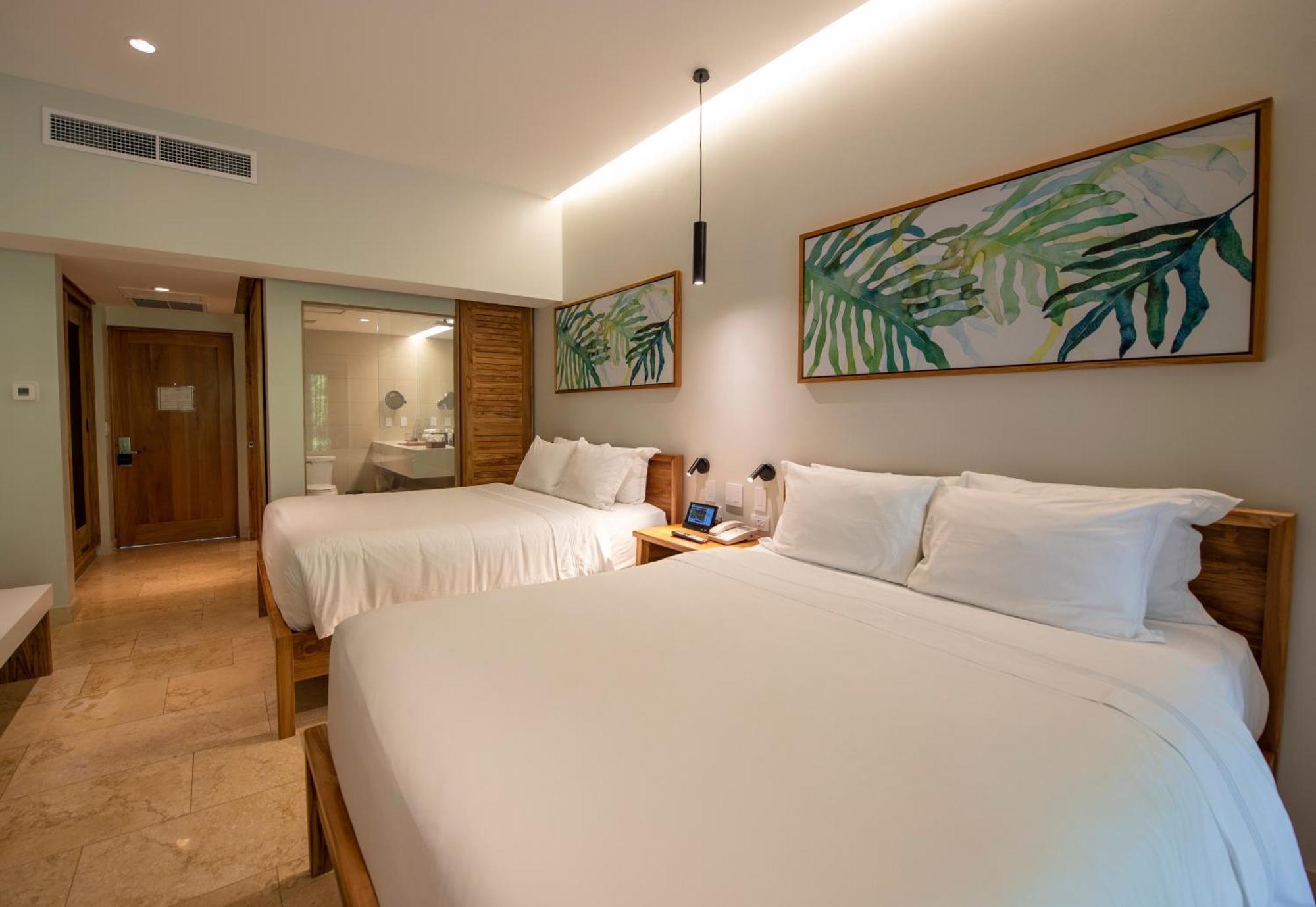 Orchid Room Two Queen Beds