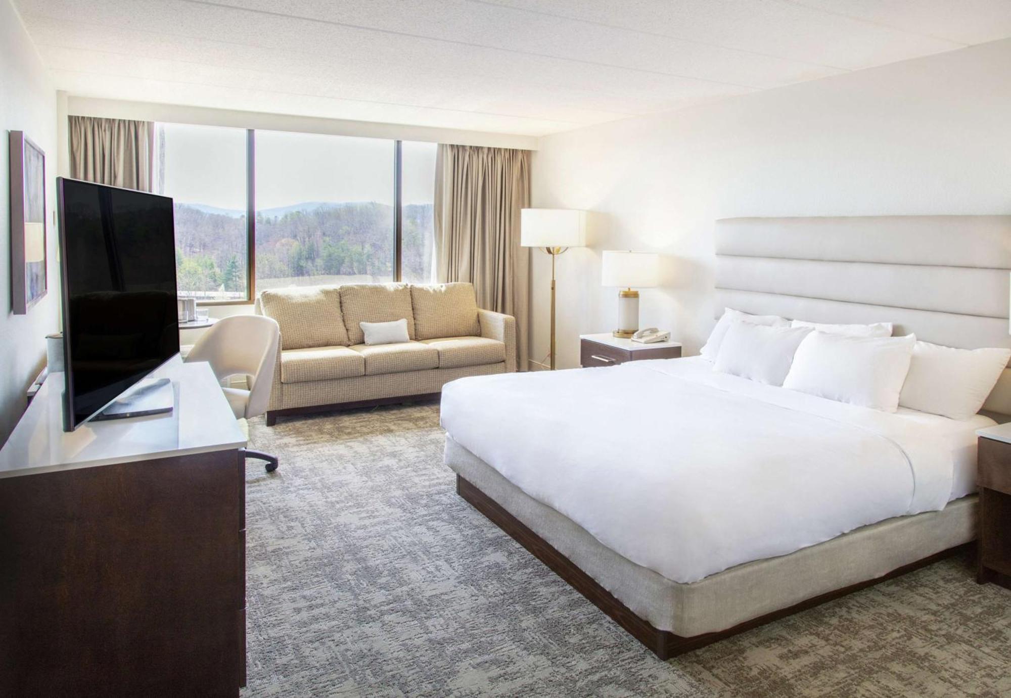Two-Room King Suite