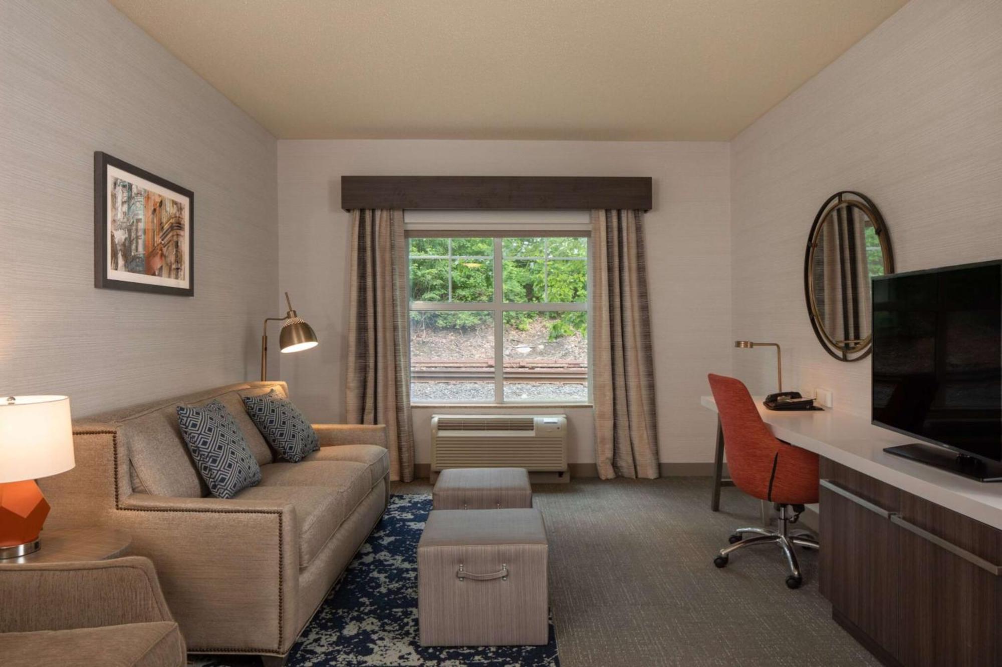 One-Bedroom King Suite Sofa Bed