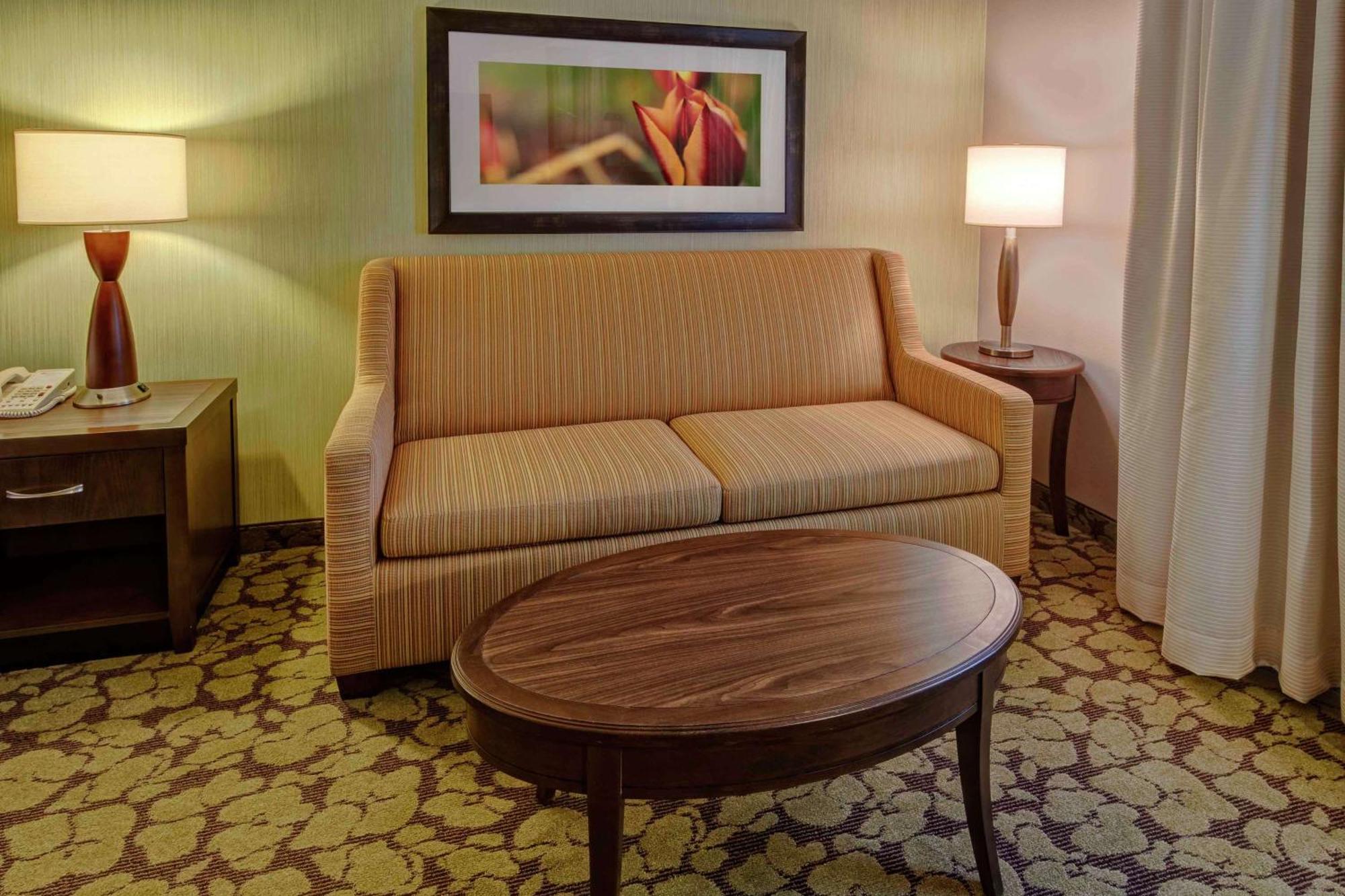 King Room Sofa Bed Non-Smoking,1551610081:JPEG