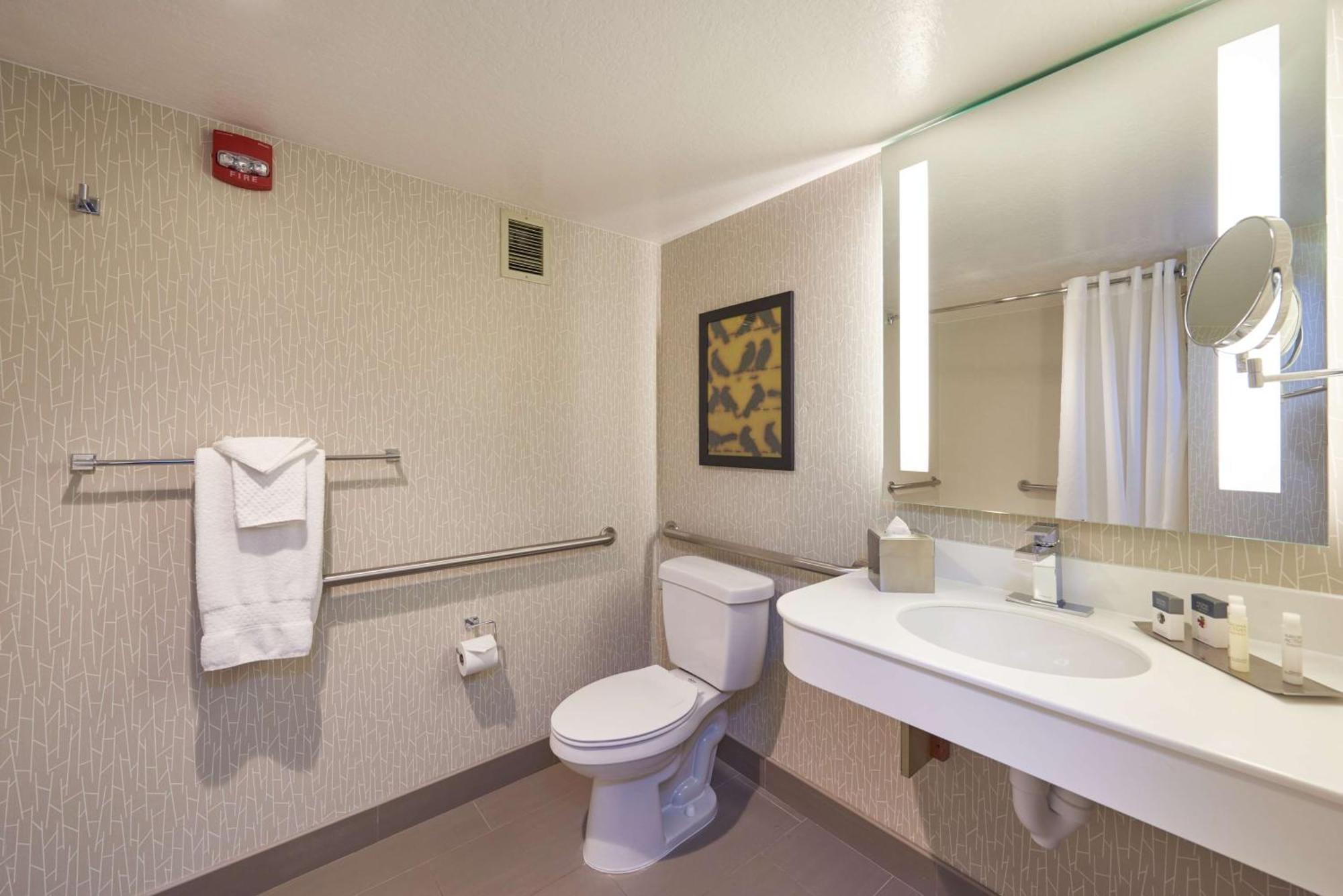 King Room Accessible Tub Mobility Hearing Access
