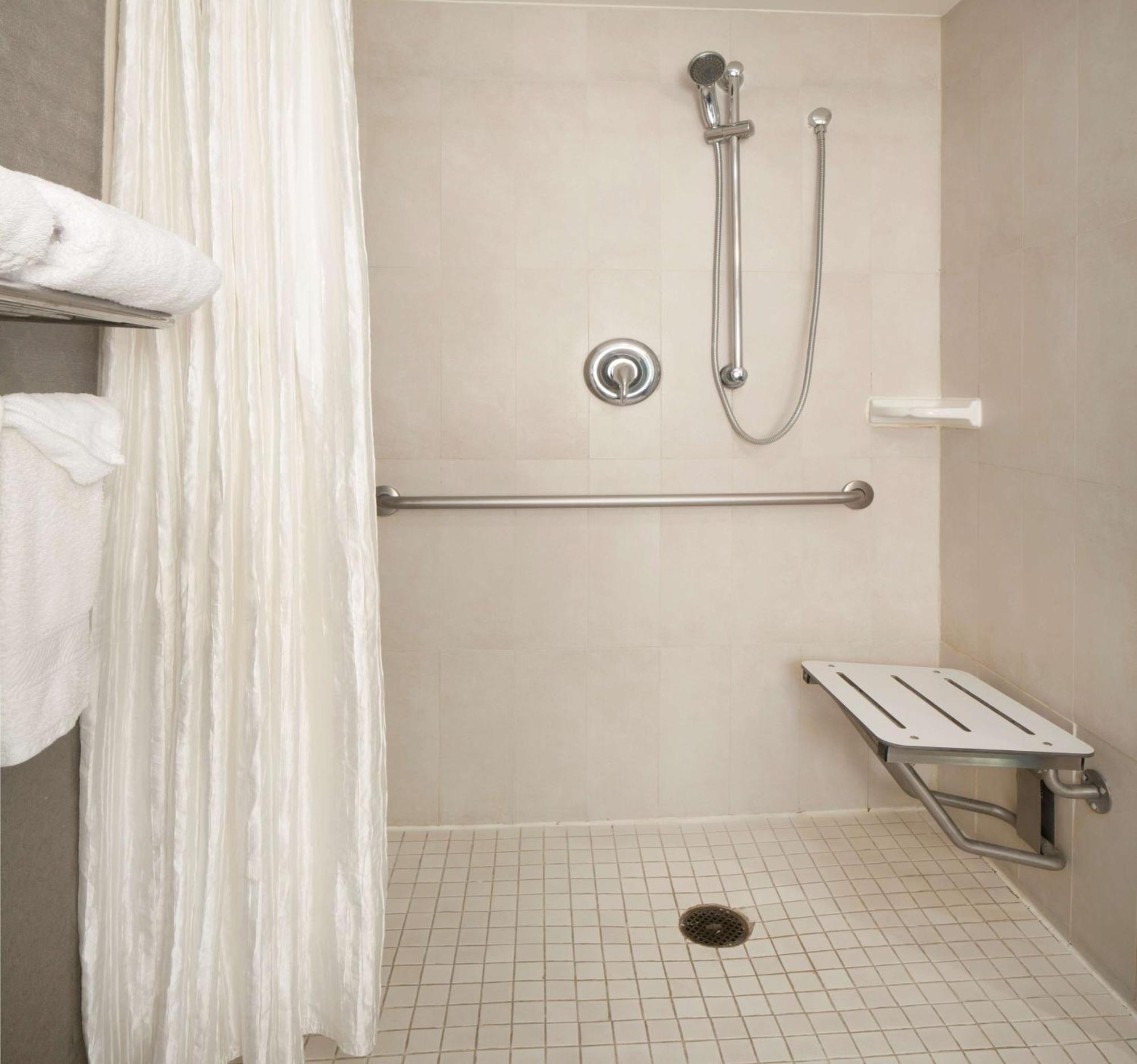 King Room Roll Shower Mobility Access