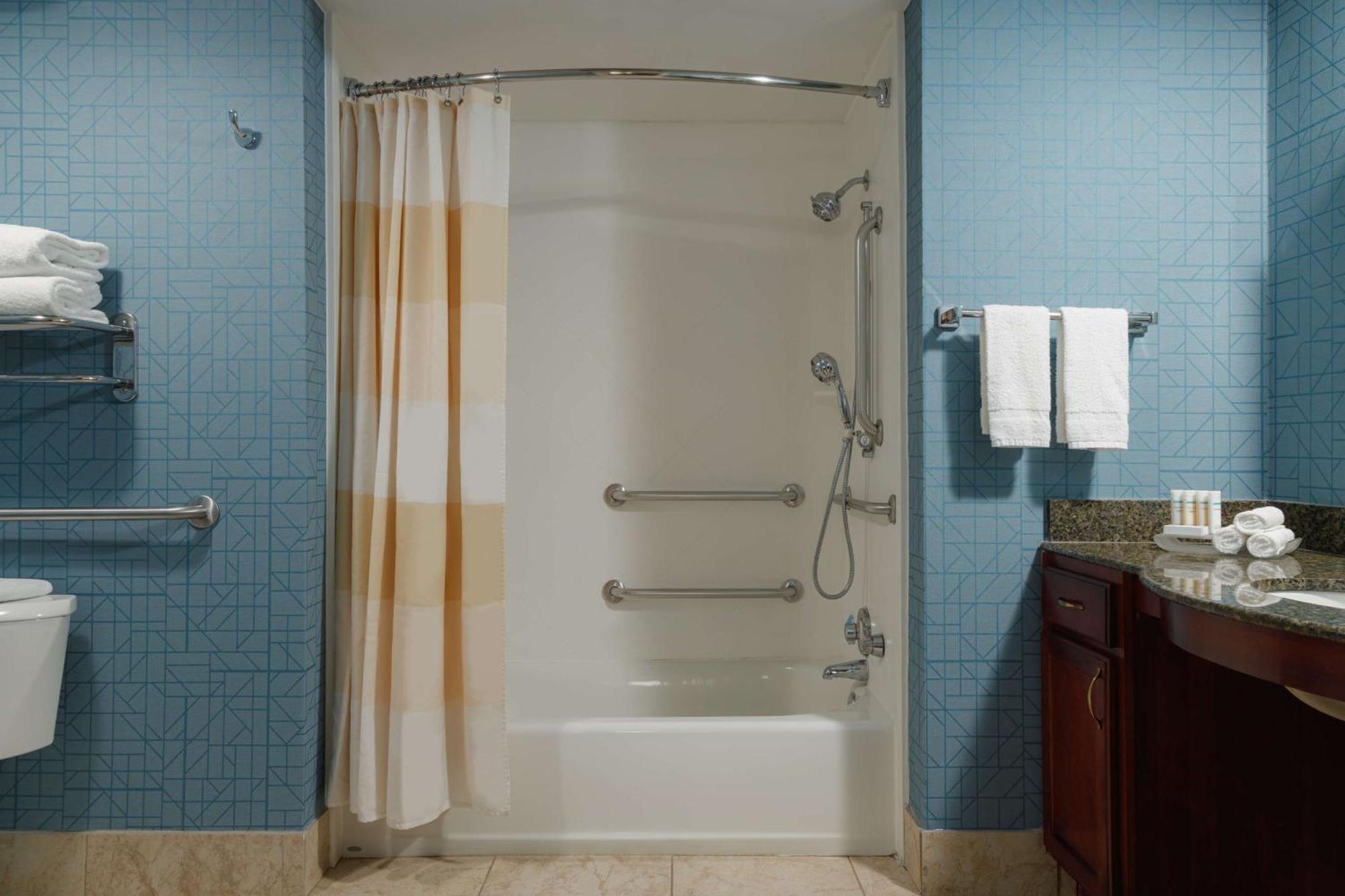 One-Bedroom Suite One King Bed Bath Tub Mobility Access