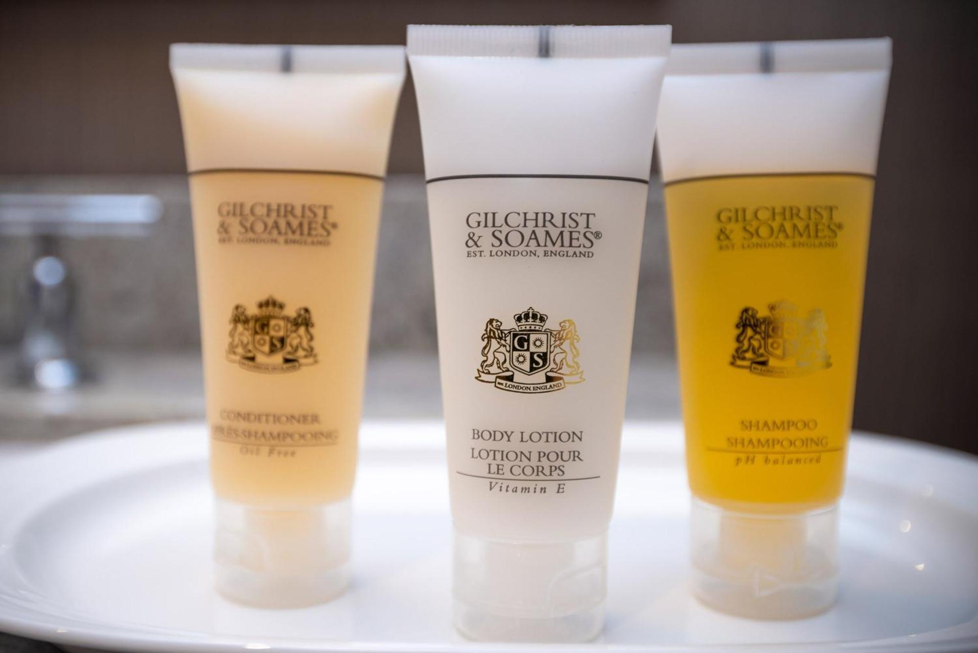 Studio Suite, 1 King Bed, Sofa Bed,1742673470:JPEG