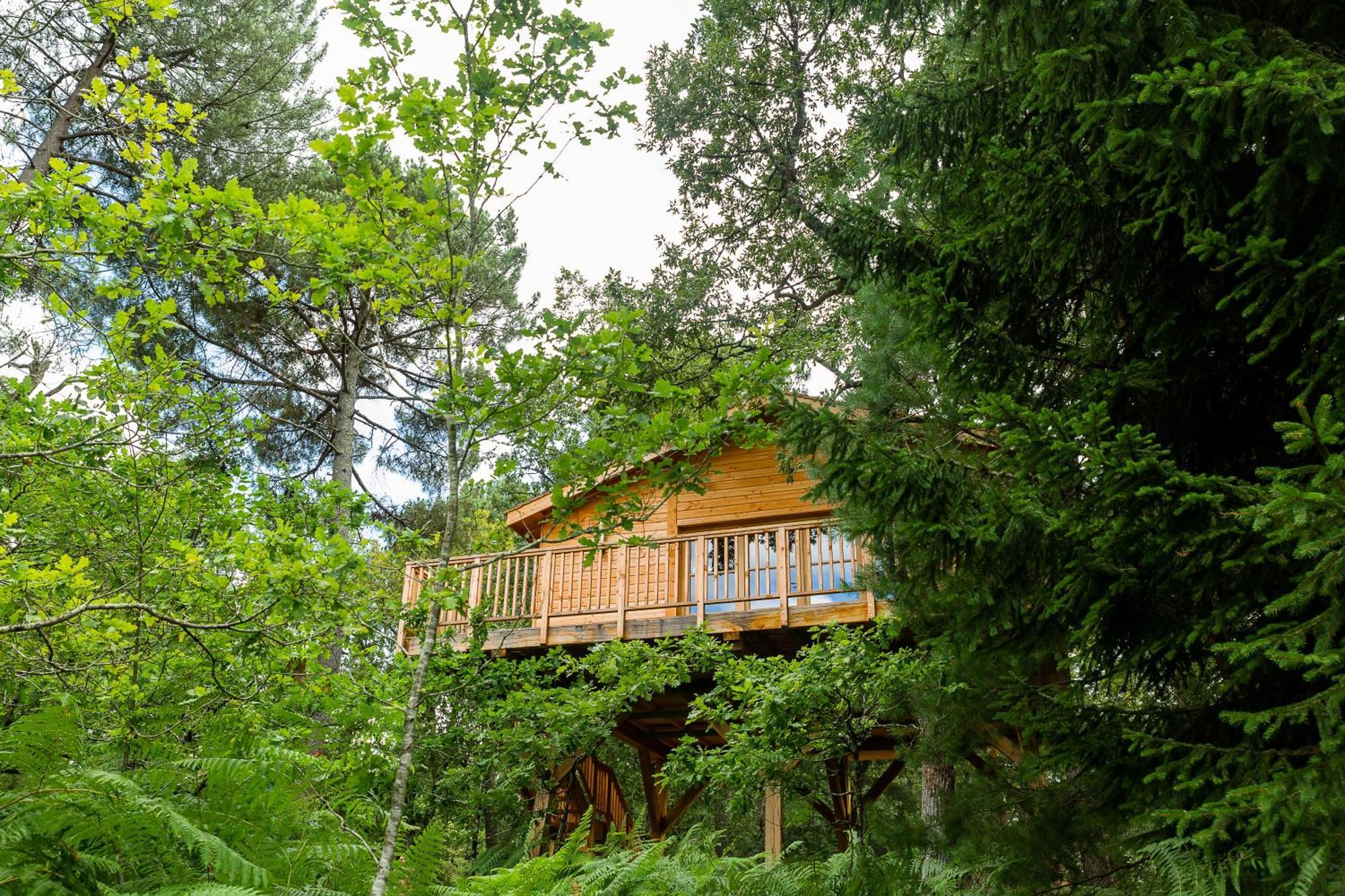 Tree House,1551749959:JPEG
