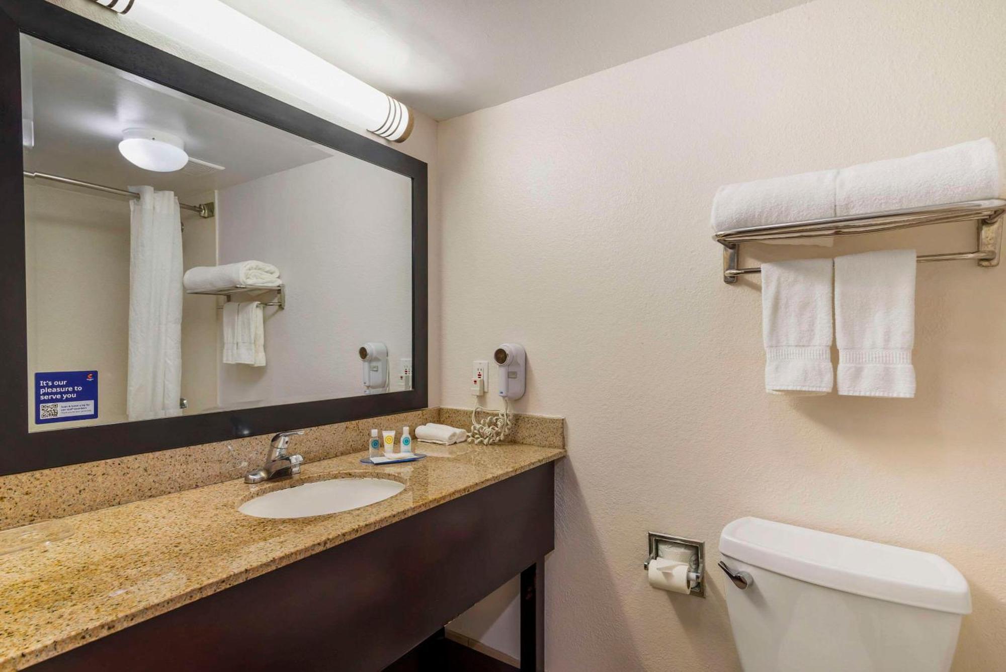 King Room Mobility Accessible or Non-Smoking