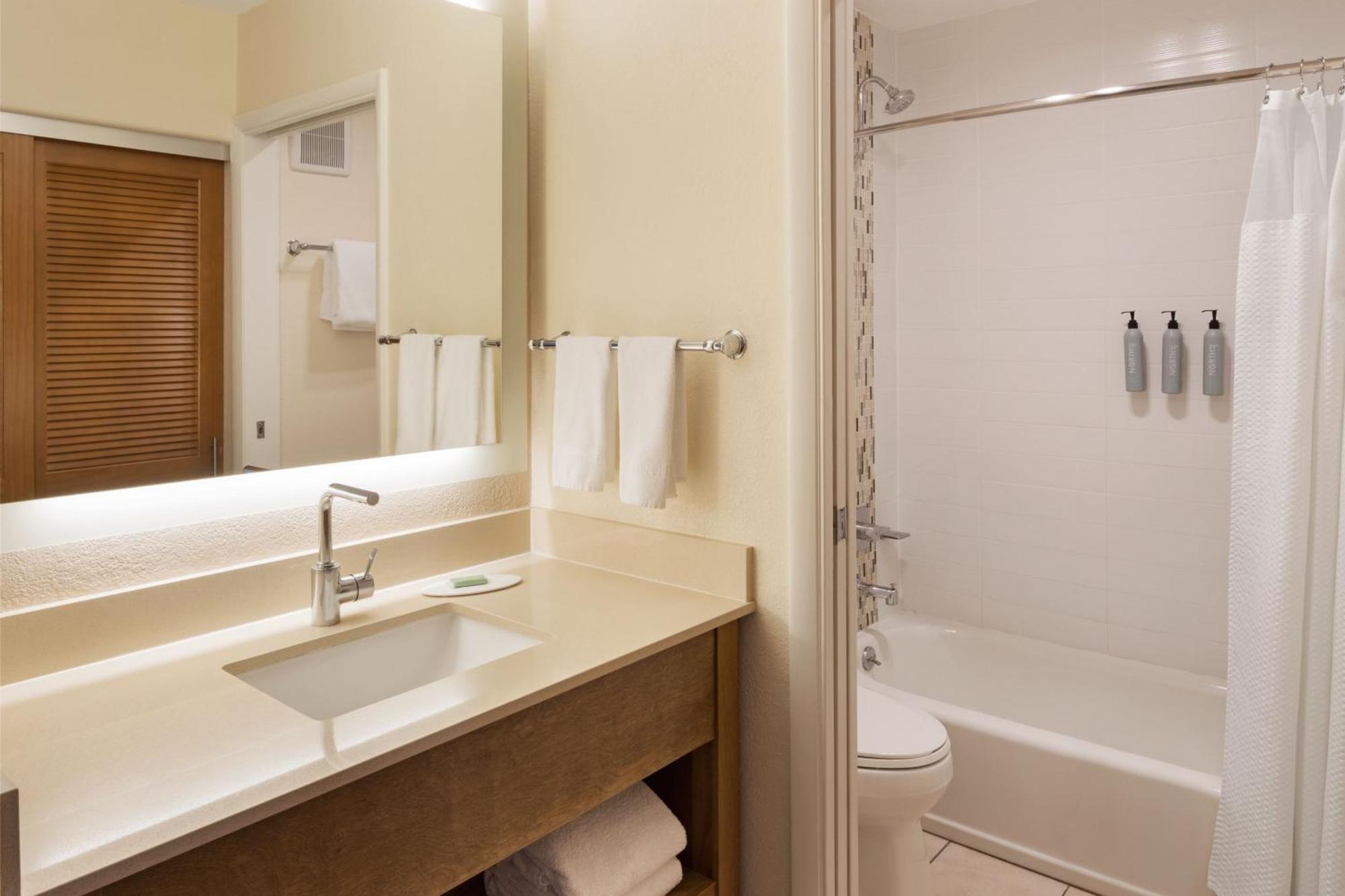 King Room Bathtub Mobility Access