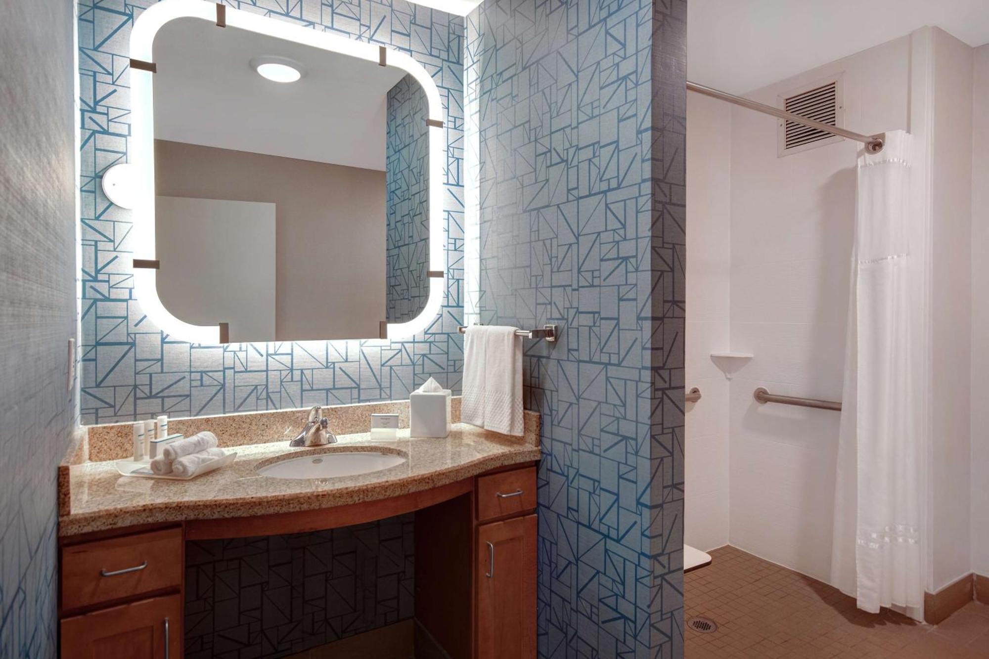 Queen Room Disability Access or Hearing Accessible