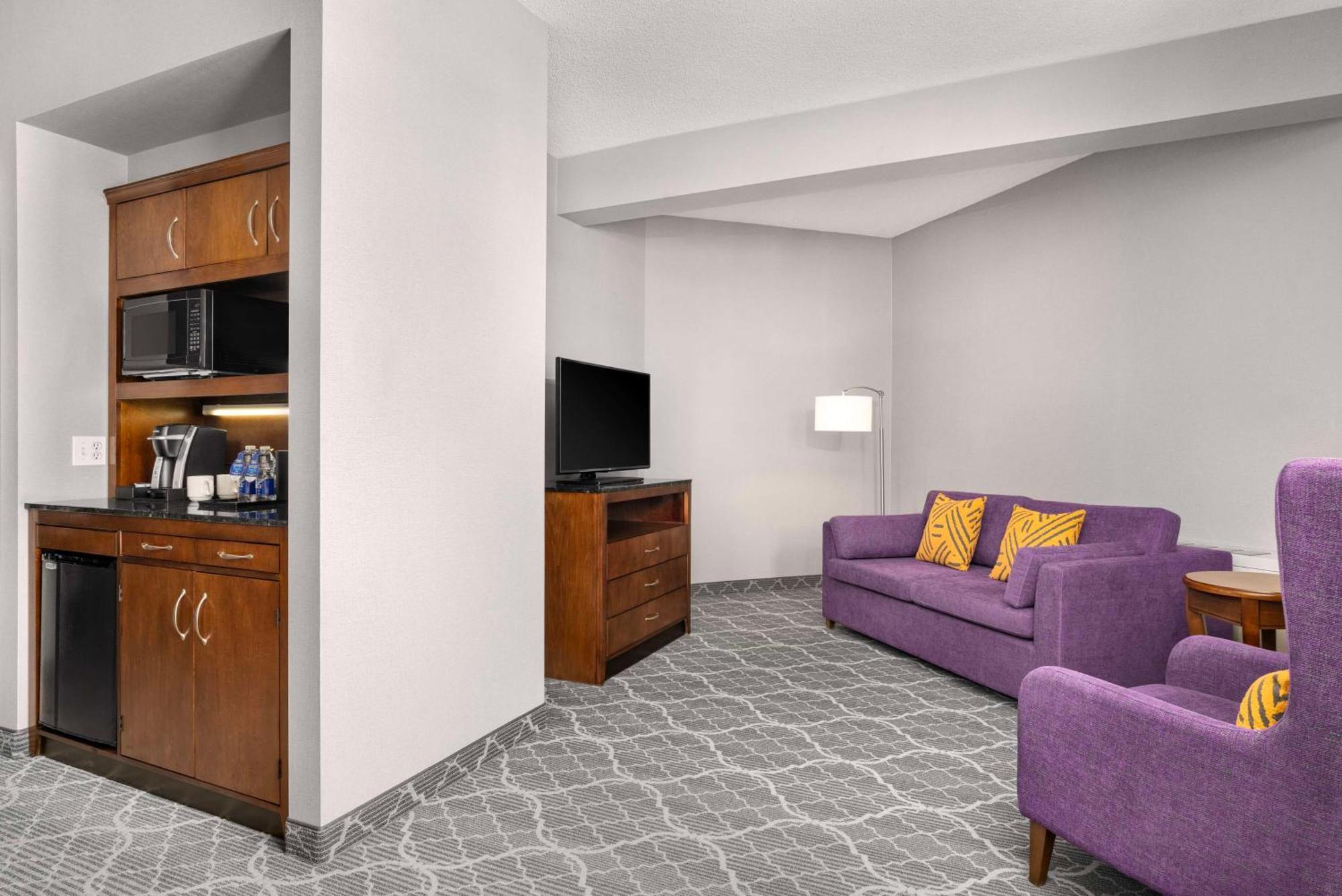 One-Bedroom King Suite with Sofa Bed,1709582827:JPEG