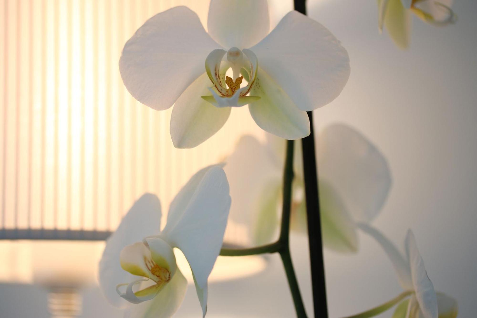 Single Room,1688815309:JPEG