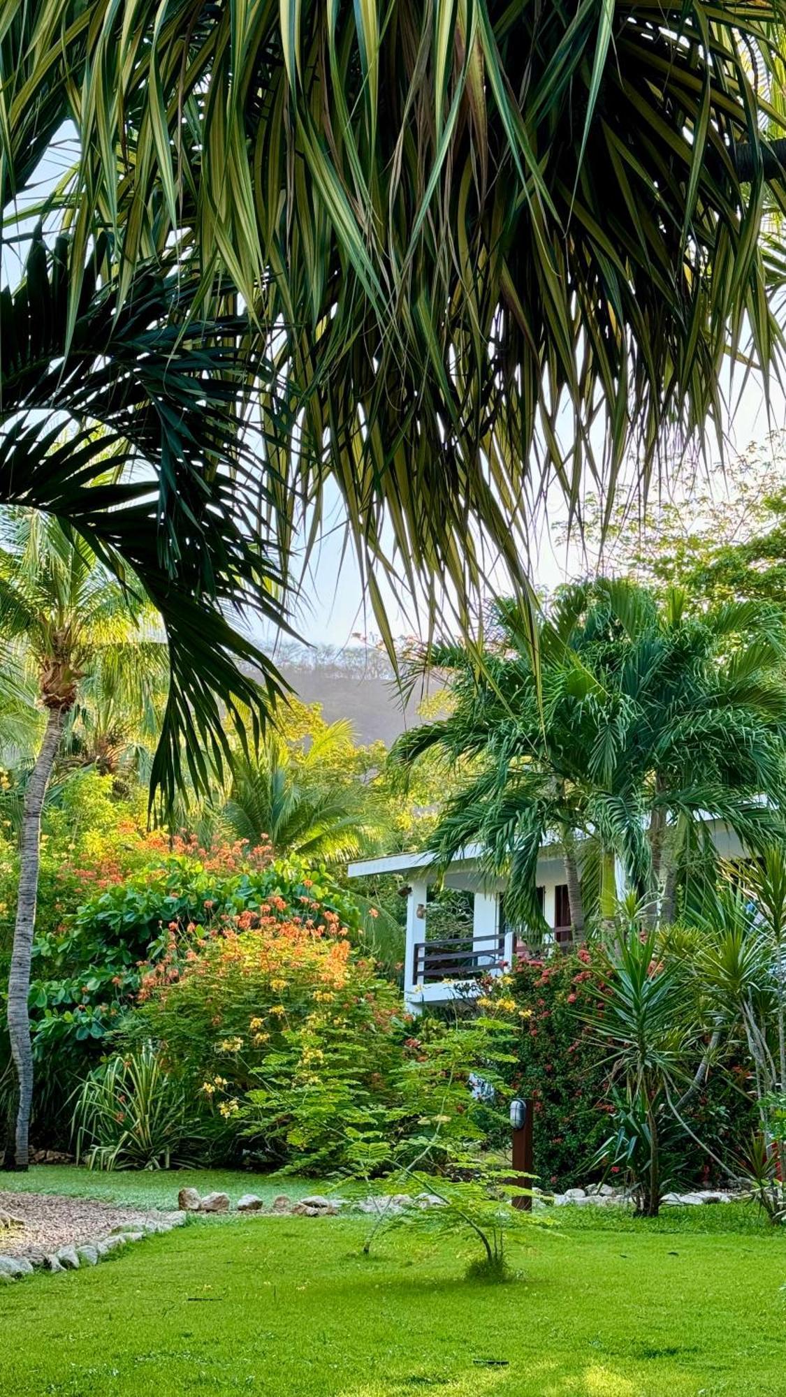 Studio Kitchen Garden View