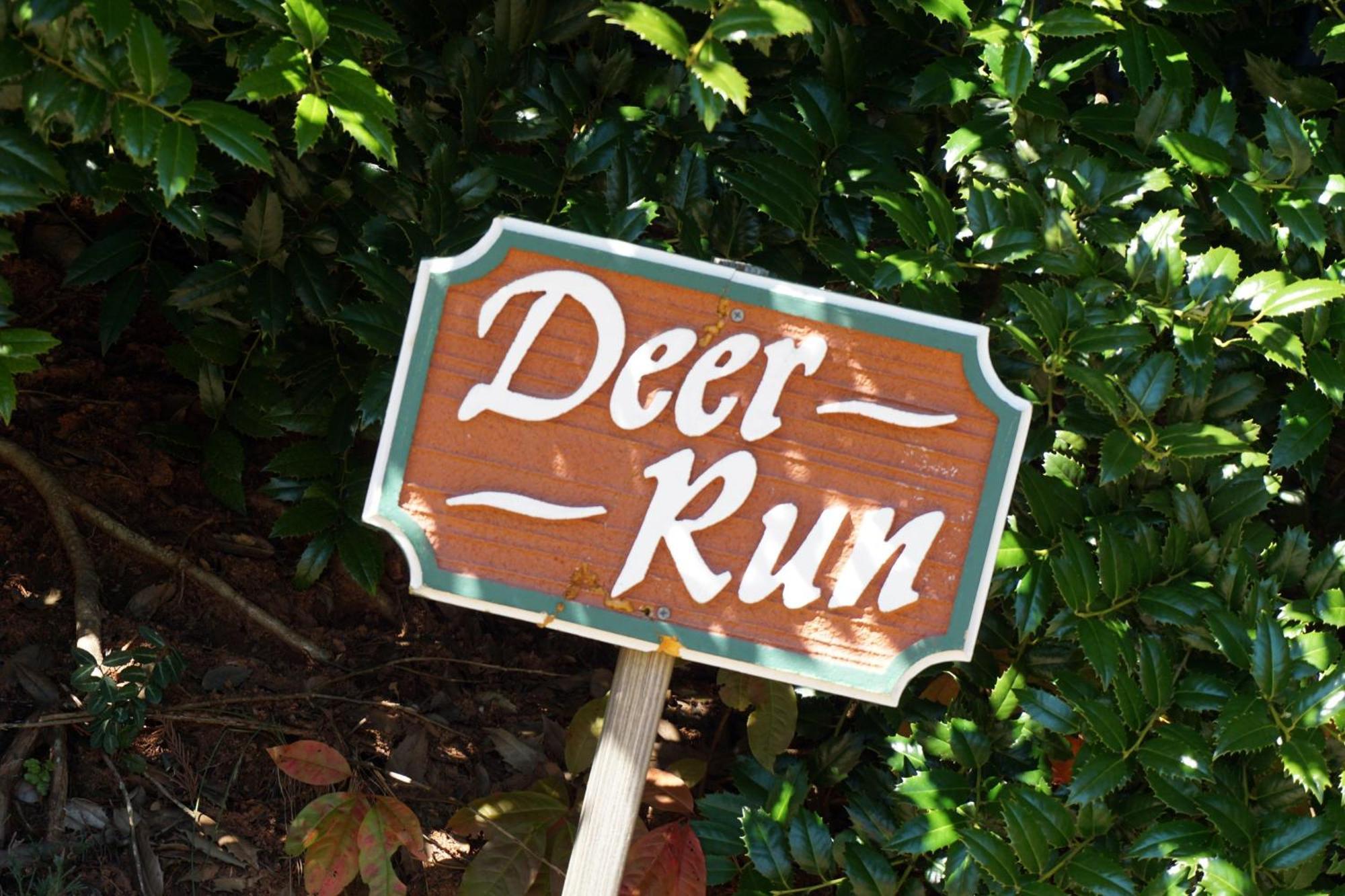 One-Bedroom House Dear Run
