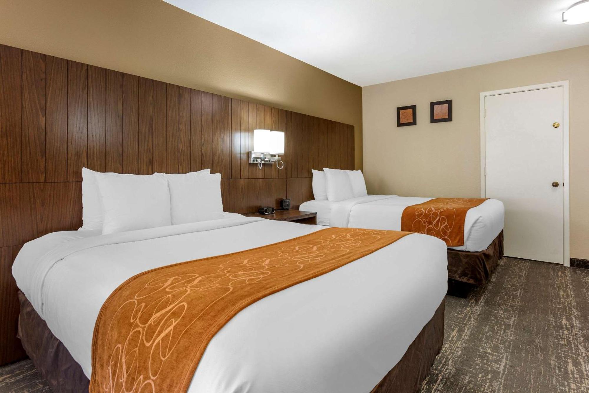 Standard Double Suite