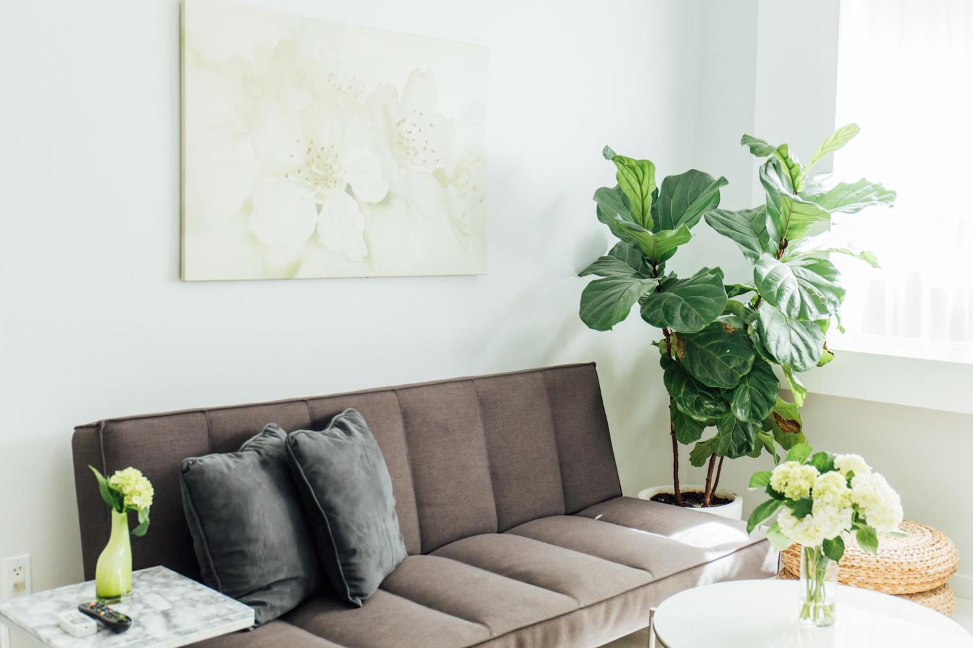 One Bedroom Apartment Accessible
