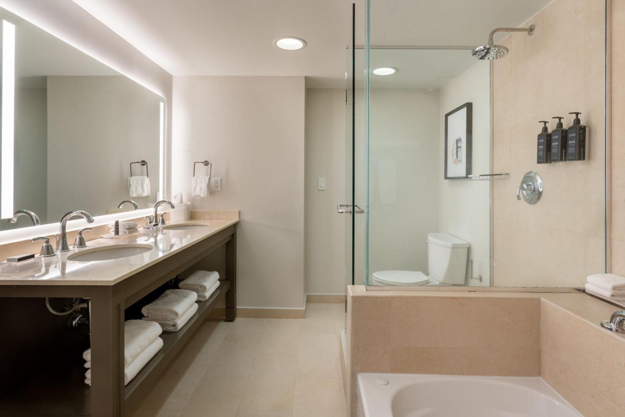 Traditional King Room City View Bathtub Mobility Hearing Accessible