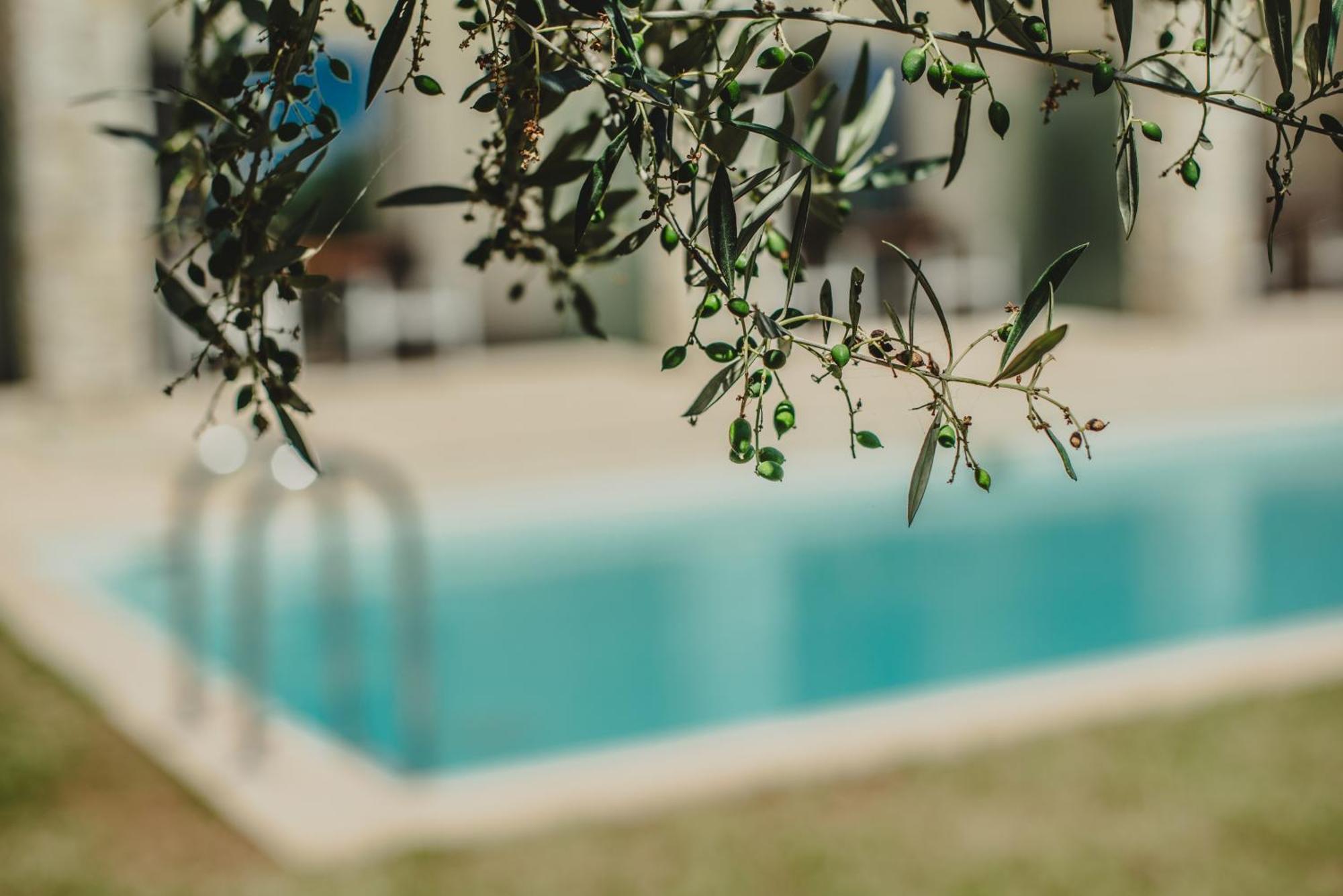 Deluxe Double Shared Pool