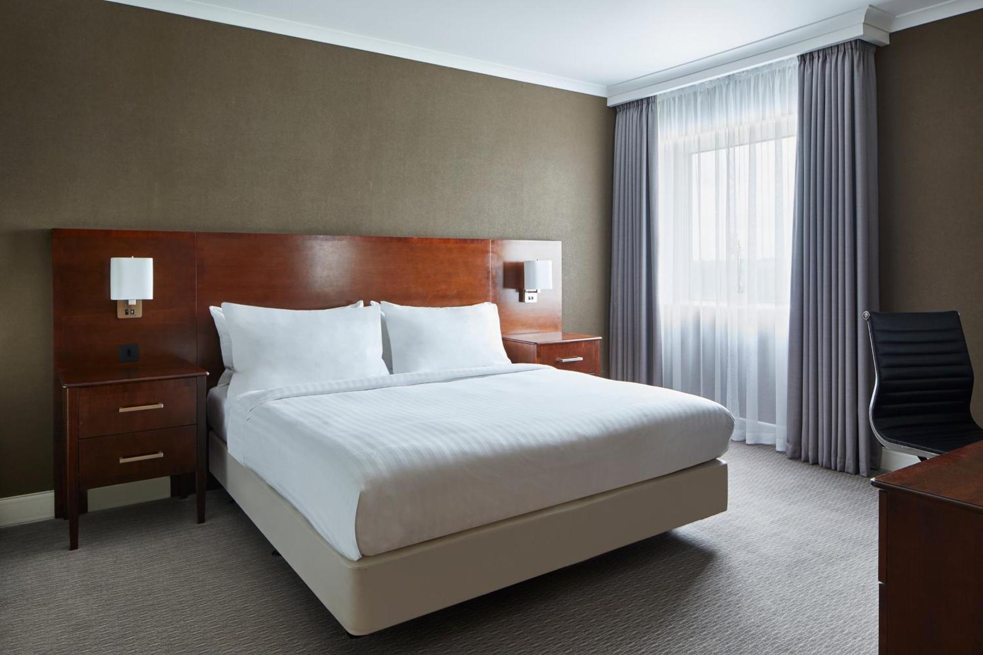One-Bedroom Junior King Suite with Executive Lounge Access