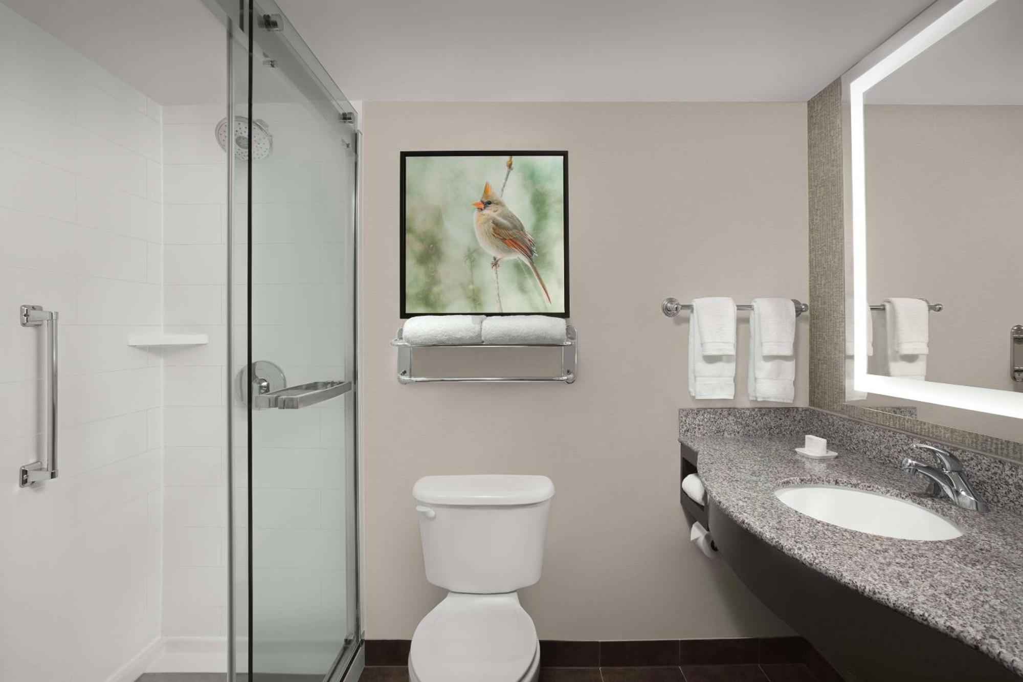 King Room Walk Shower