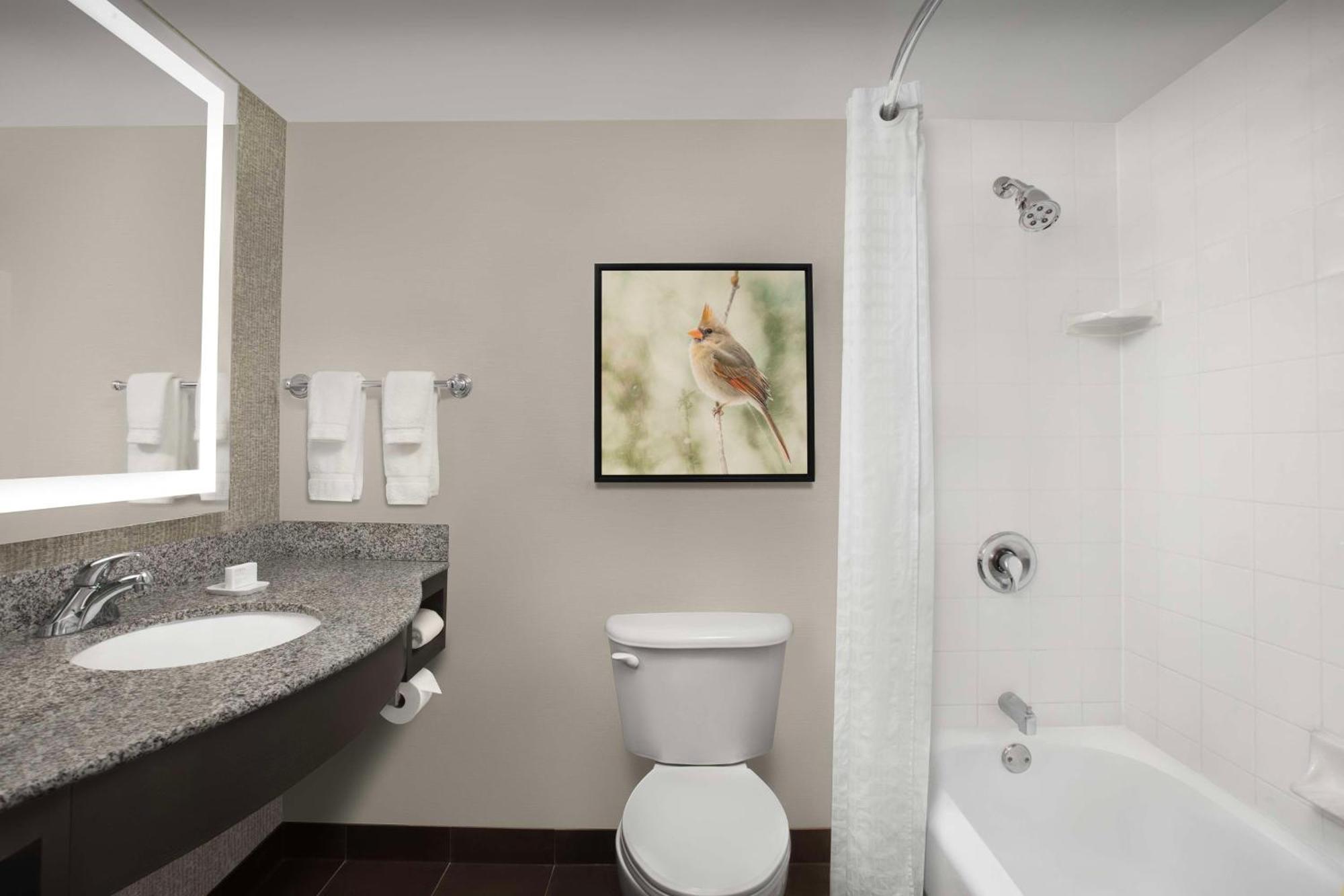 Queen Room Two Queen Beds Shower or Tub