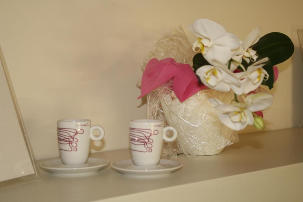 Single Room,65779165:JPEG