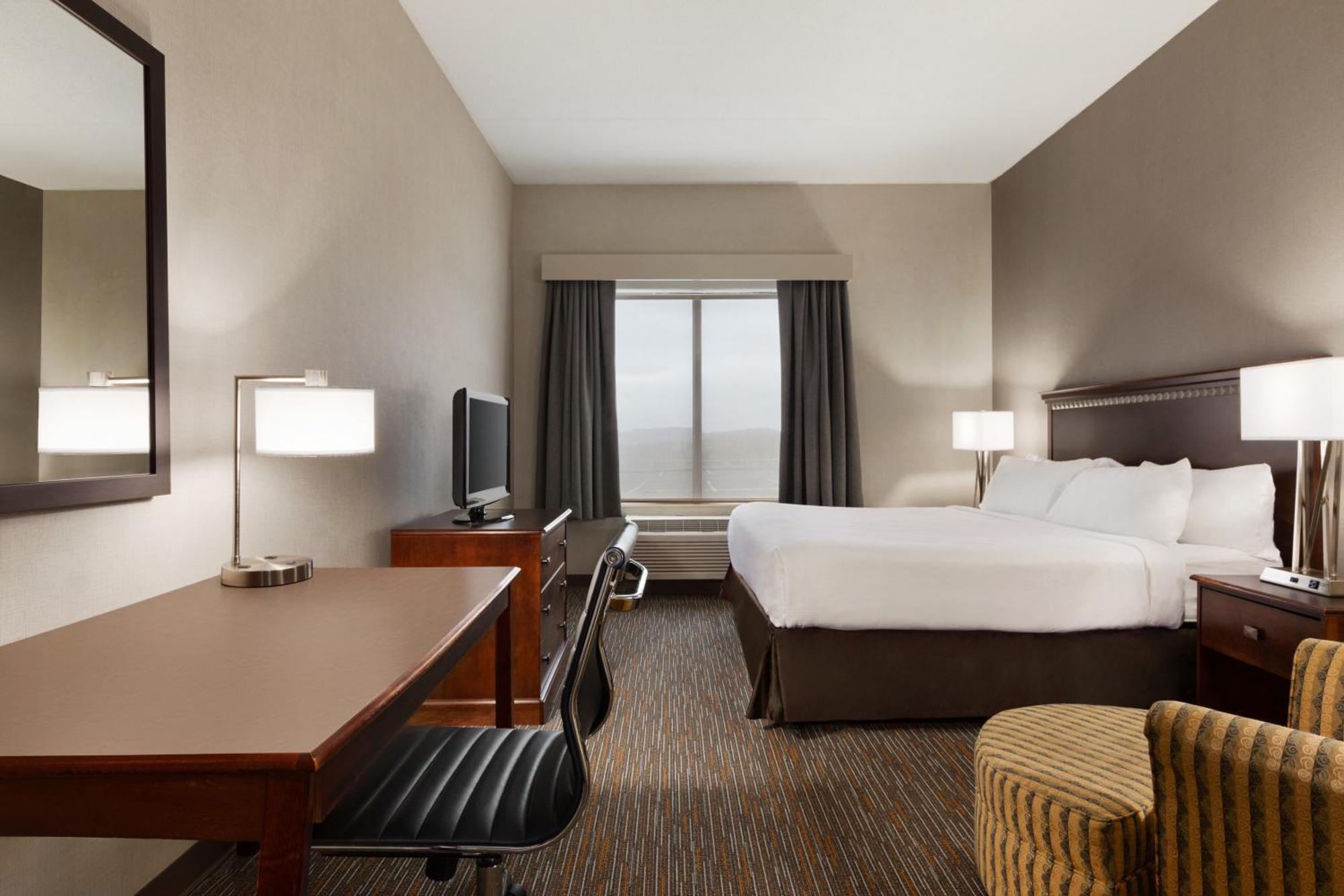 King Room with Roll-In Shower - Mobility Accessible/Pet-Friendly/Non-Smoking