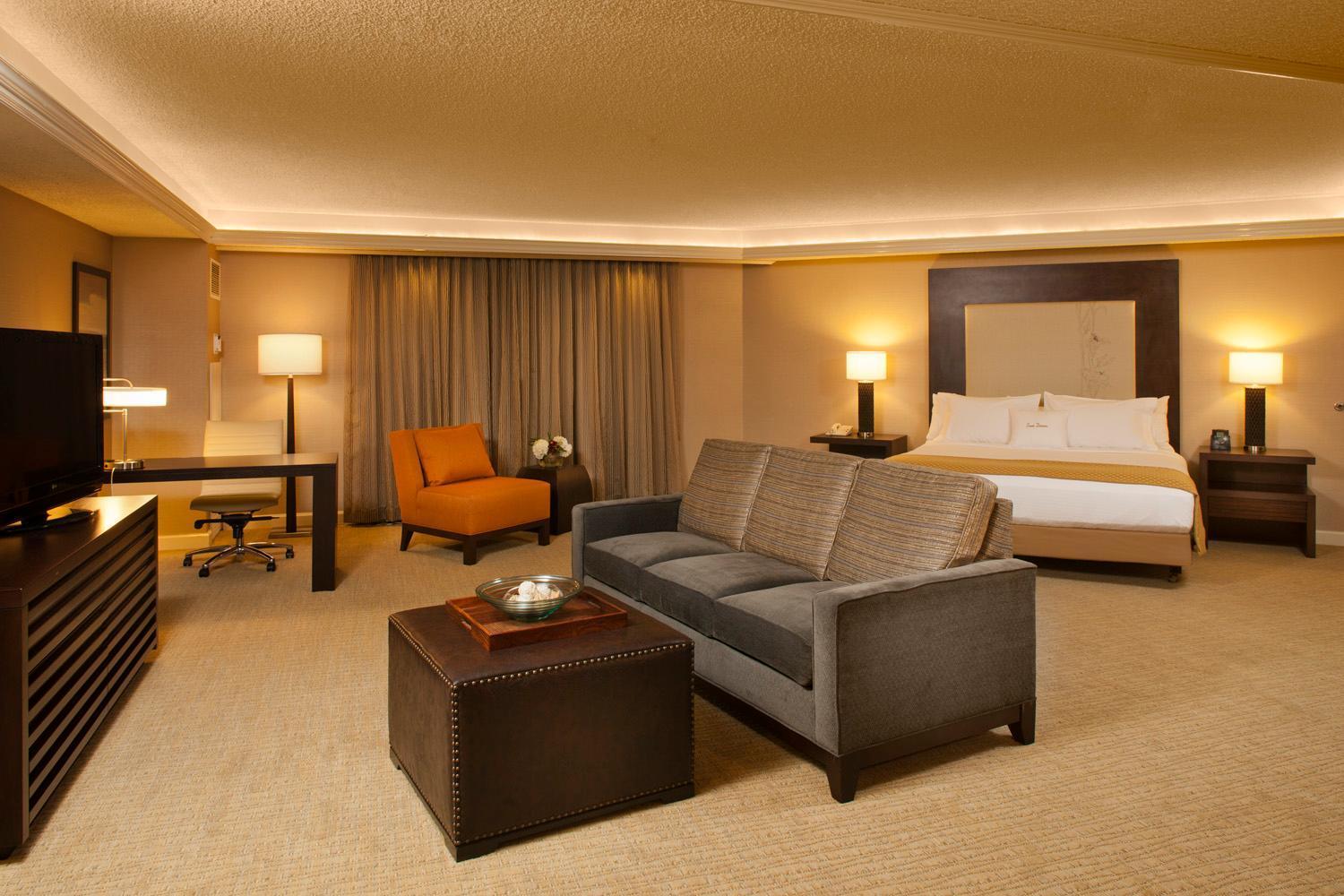 1 King Bed Studio Suite,1435444060:JPEG