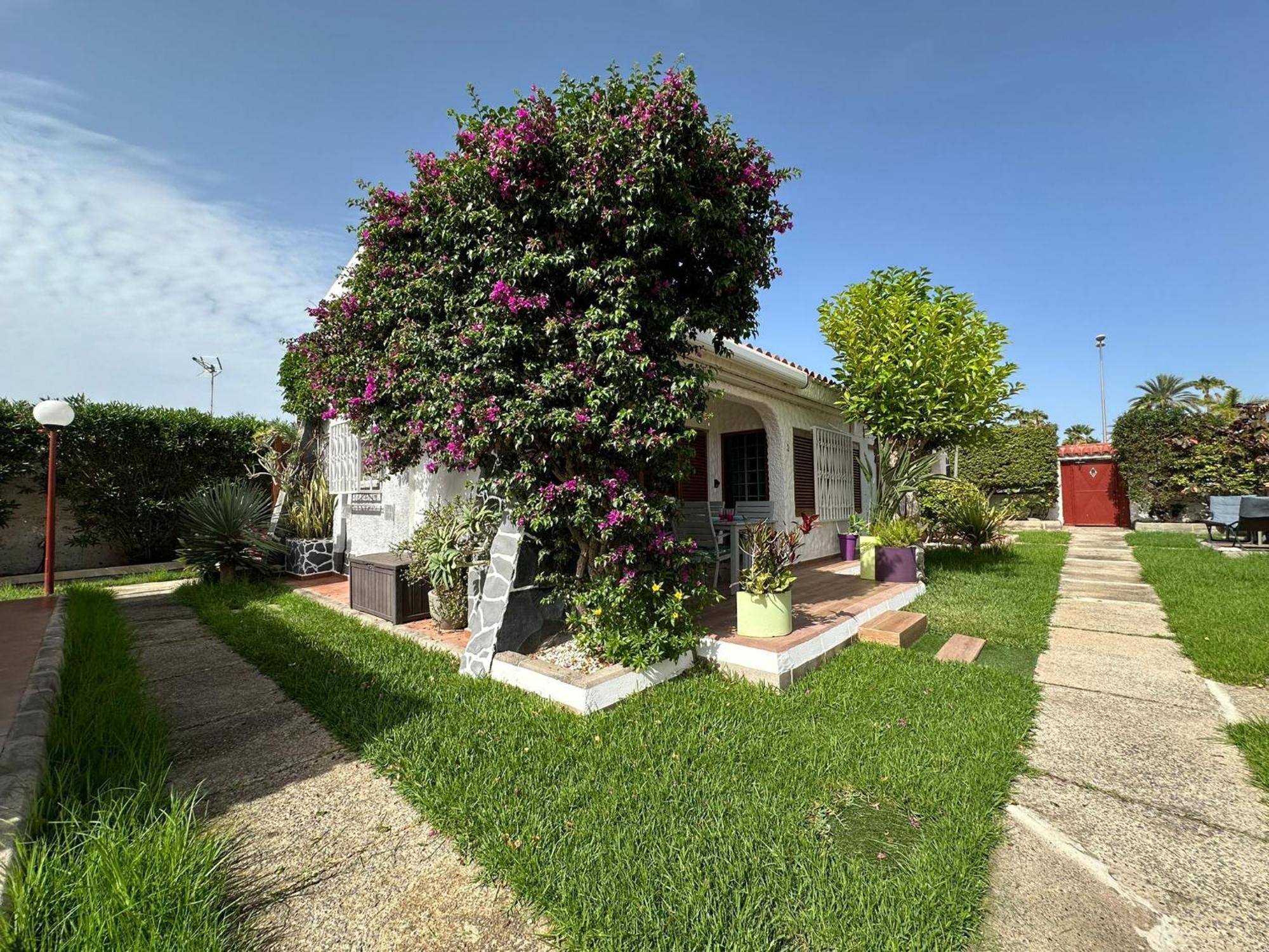 Deluxe Villa - Annex,1622878984:JPEG