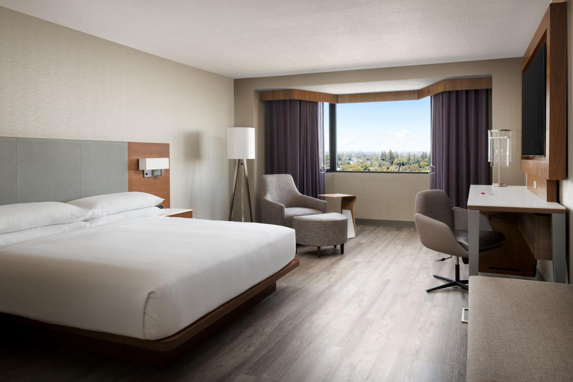 1 King Bed Guest Room