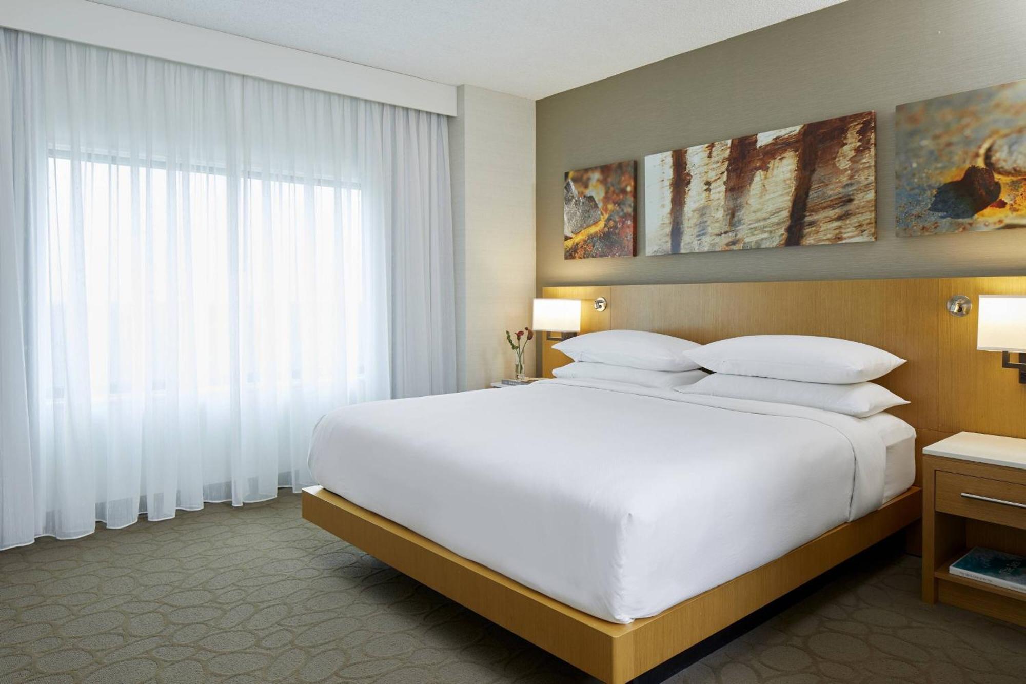 1 Bedroom Suite 1 King Sofa bed