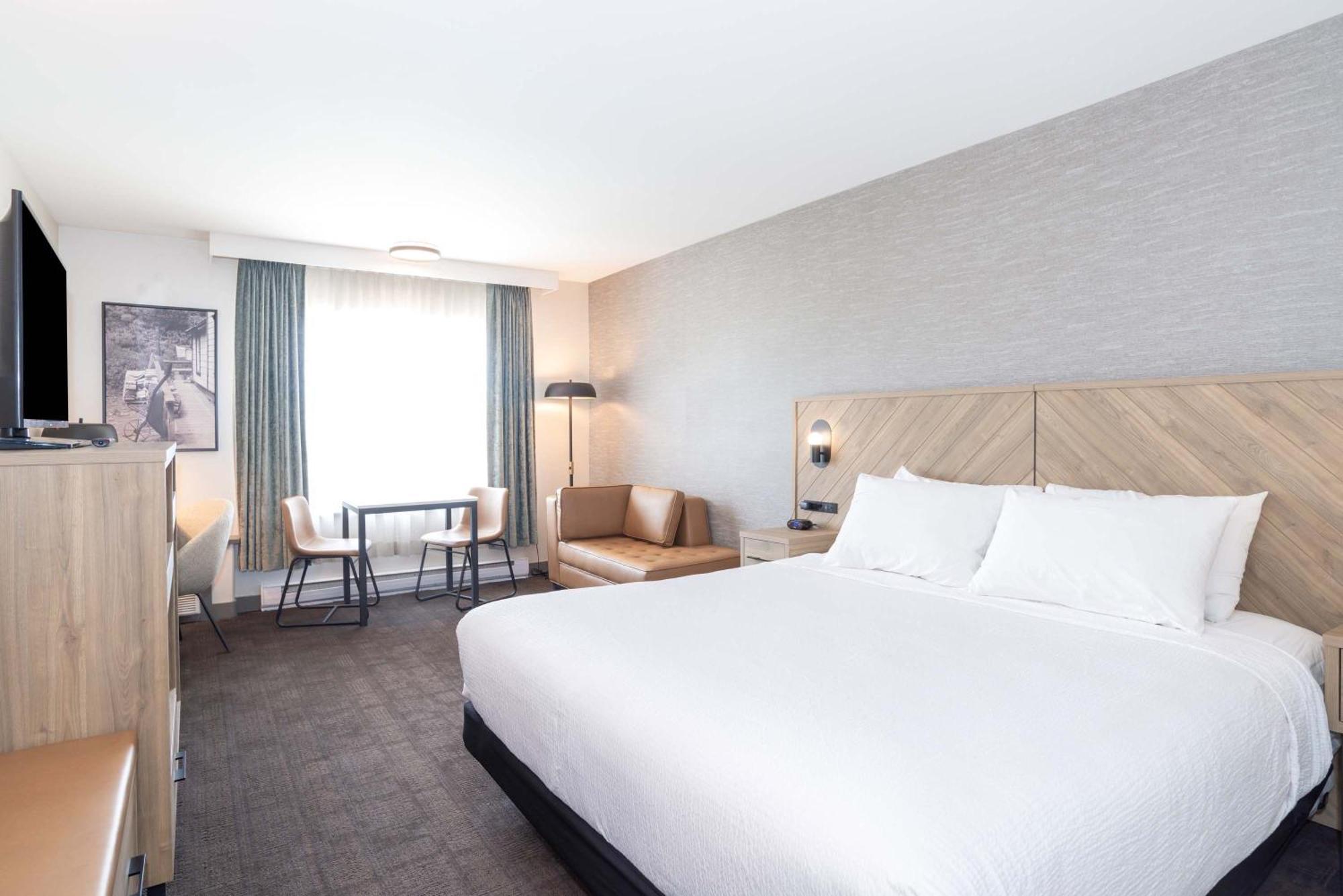 Grand Room 1 King Bed