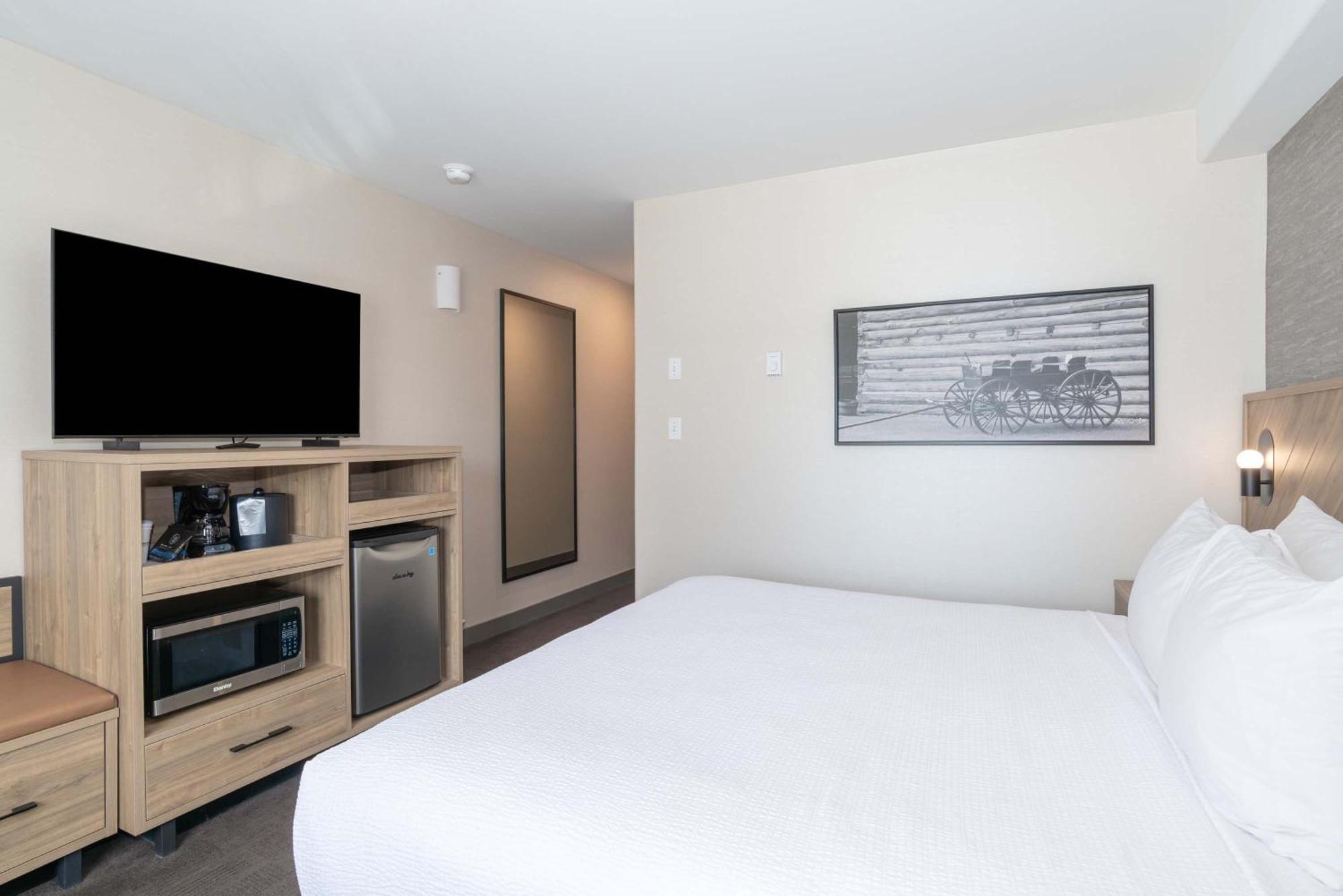 Standard Room 1 King Bed