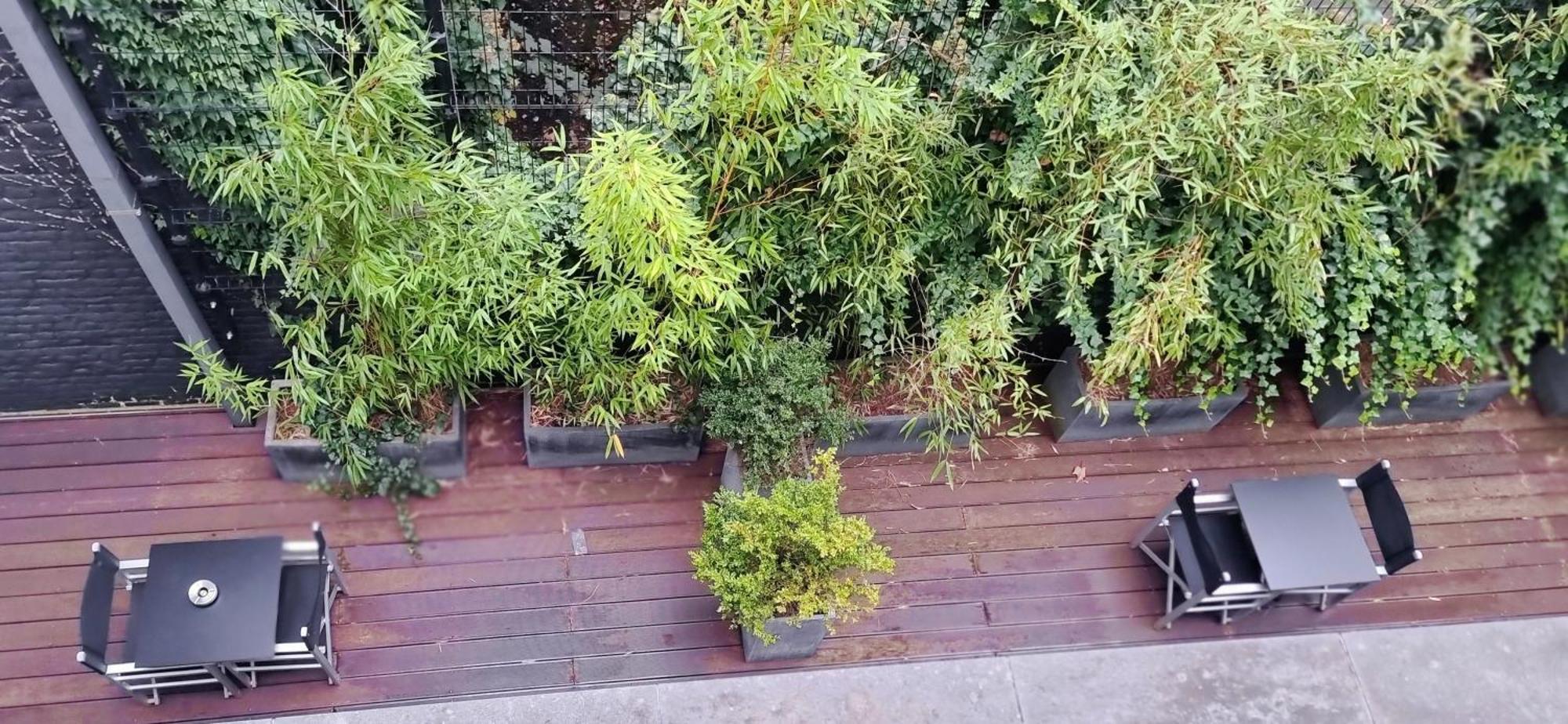 Quadruple Room Balcony,1638476173:JPEG