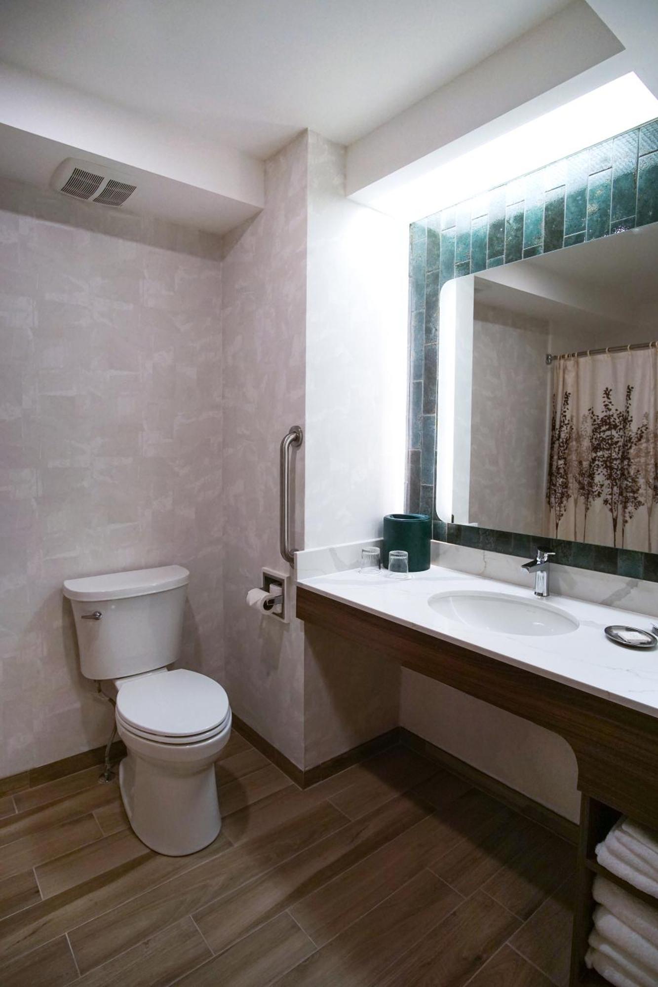 King Room Mobility or Hearing Access Roll Shower Non-Smoking