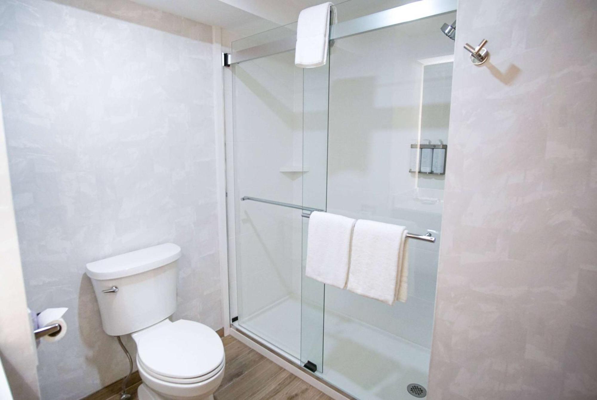 King Room Mobility or Hearing Access Roll Shower Non-Smoking