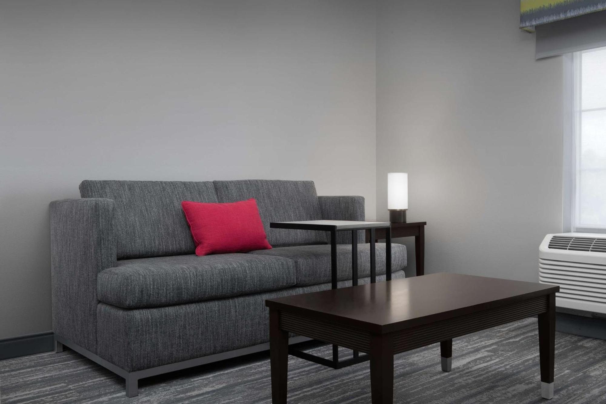 King Studio Suite Sofa Bed Non-Smoking