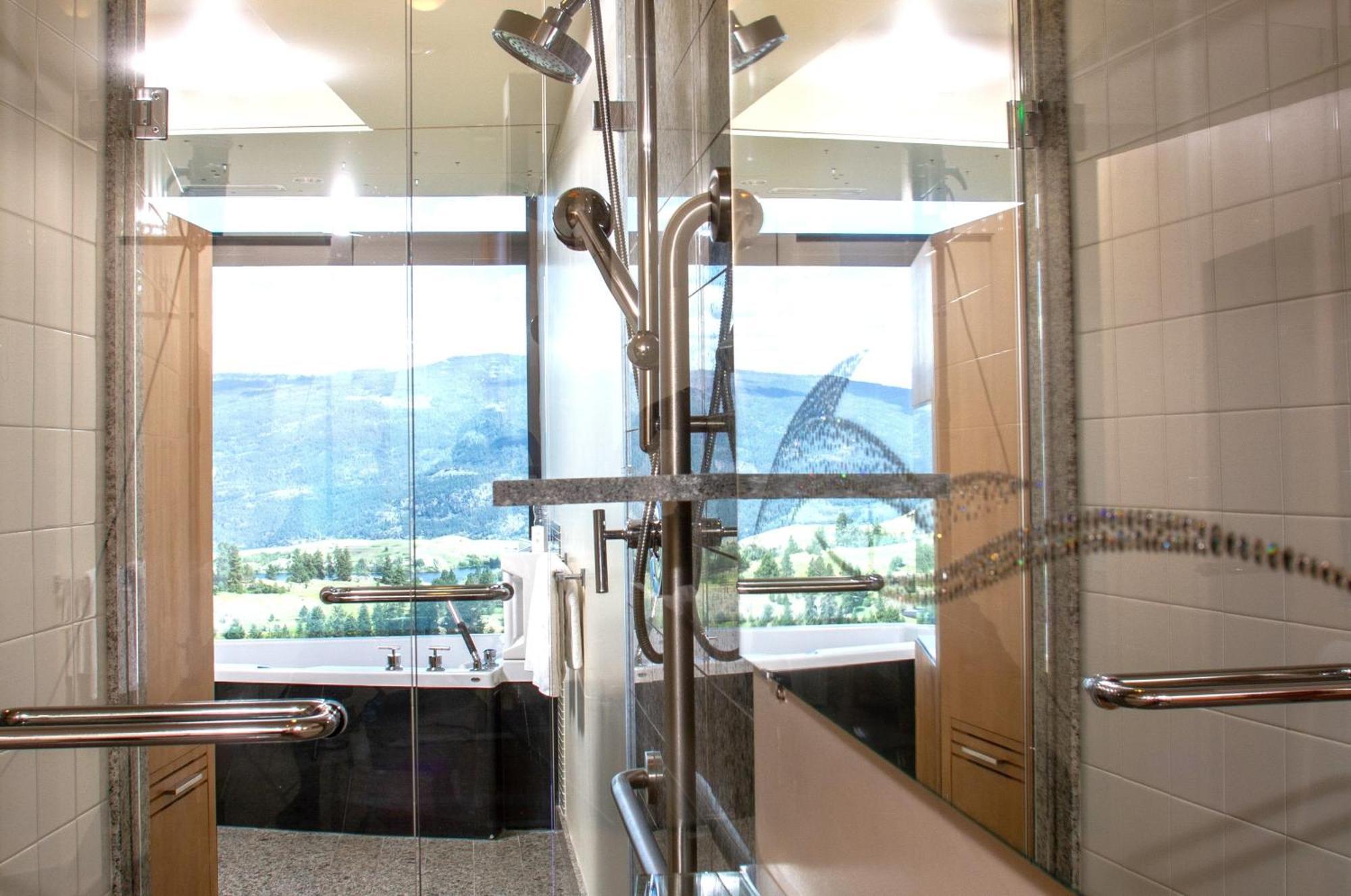 Deluxe King Room Mountain View
