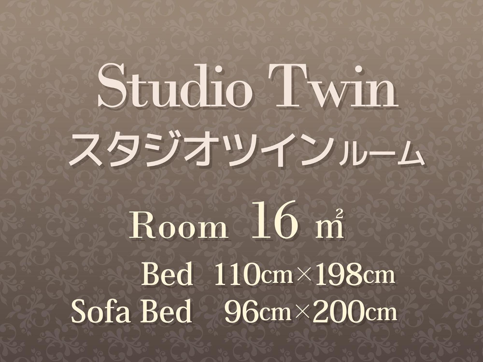 Studio Twin Room Non-Smoking