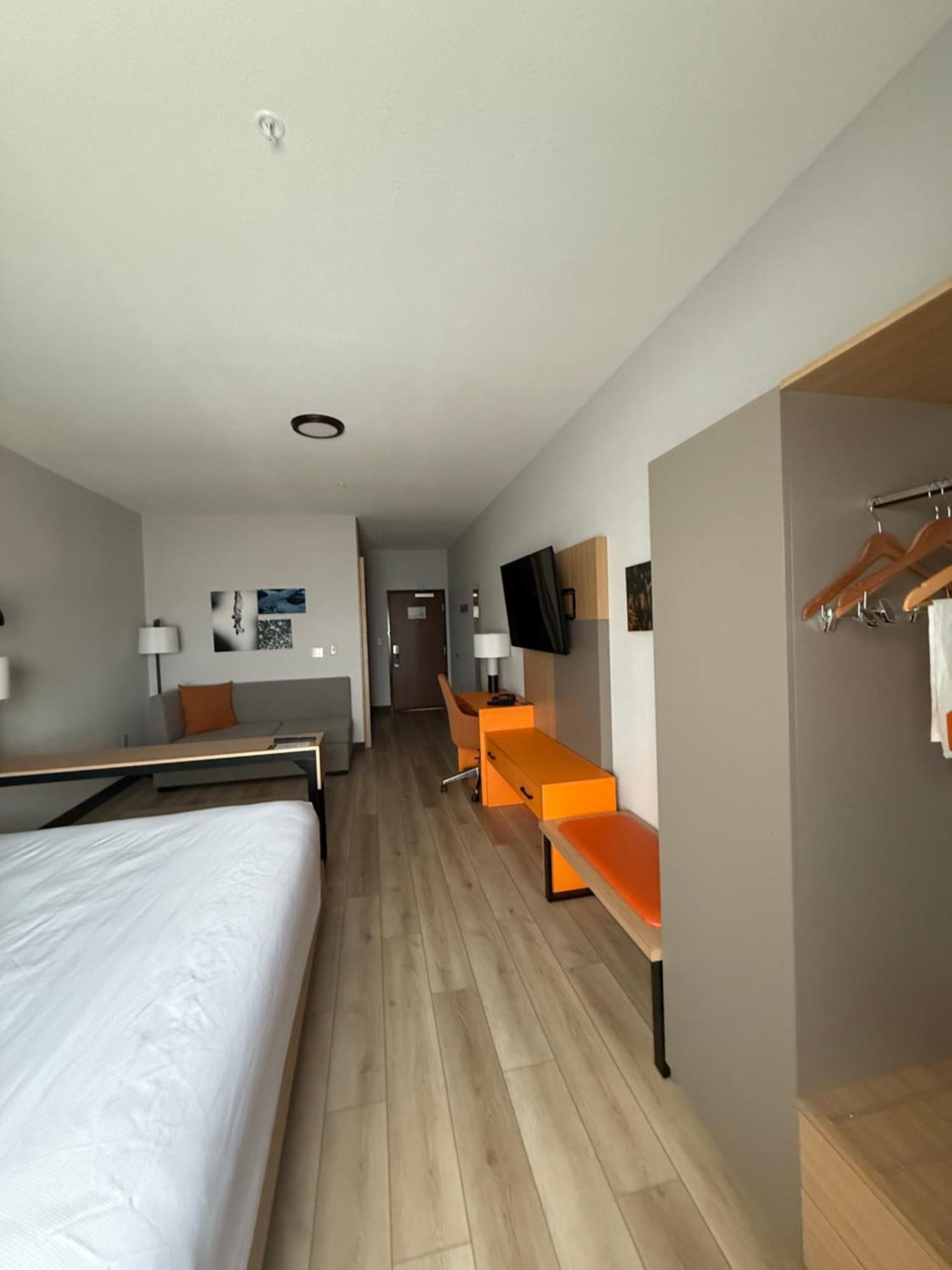 One Room Suite Sofa bed Non Smoking,1658779803:JPEG