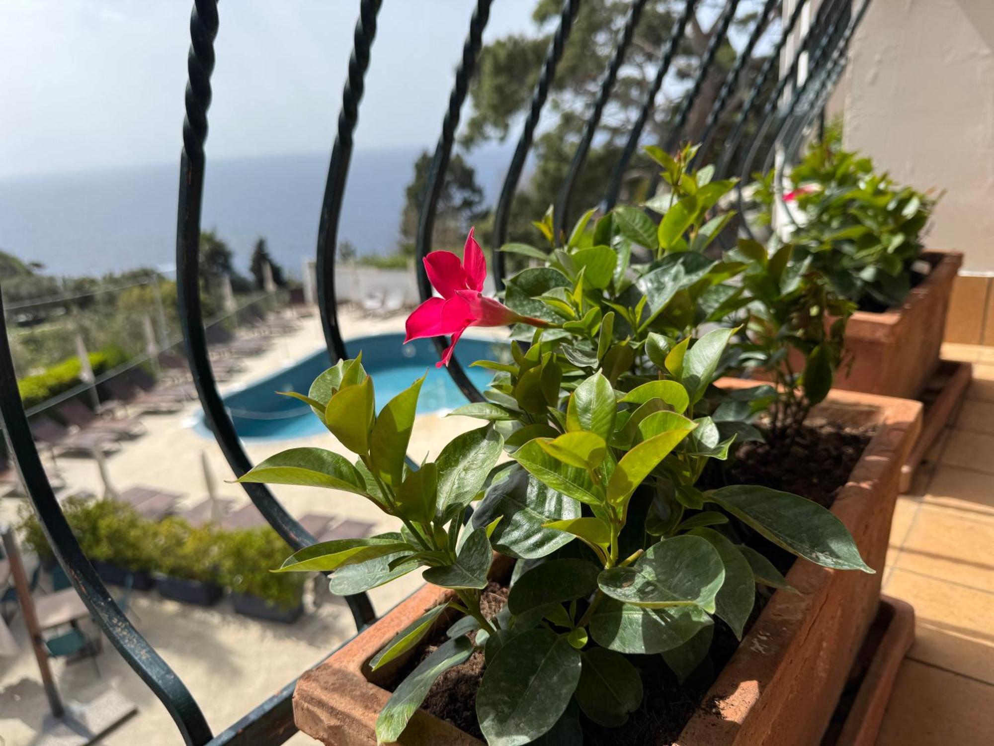 Deluxe Double Room Balcony Sea View