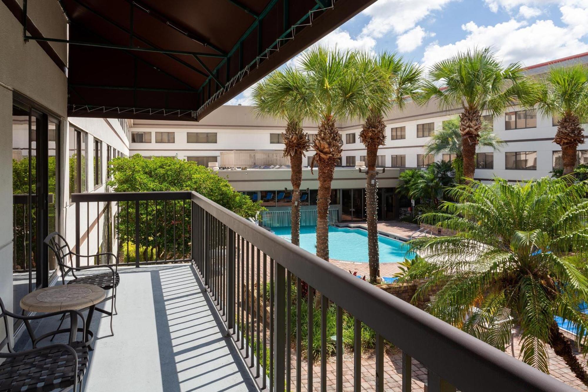 1 Bedroom Suite 1 King Sofa bed Pool View