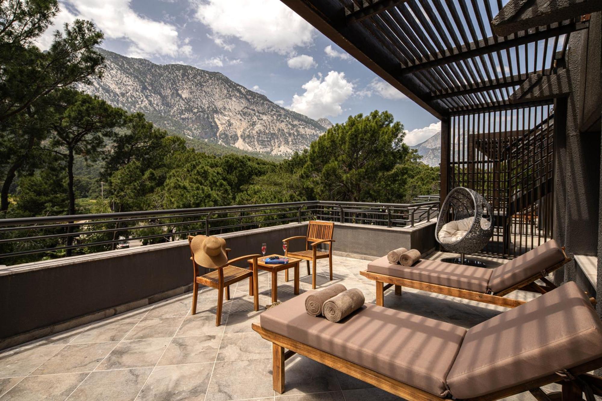 Junior Suite Terrace