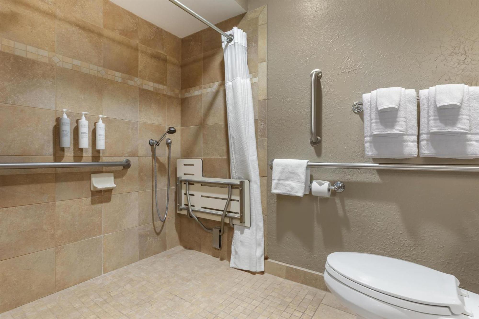 One-Bedroom King Suite Roll Shower Hearing Accessible
